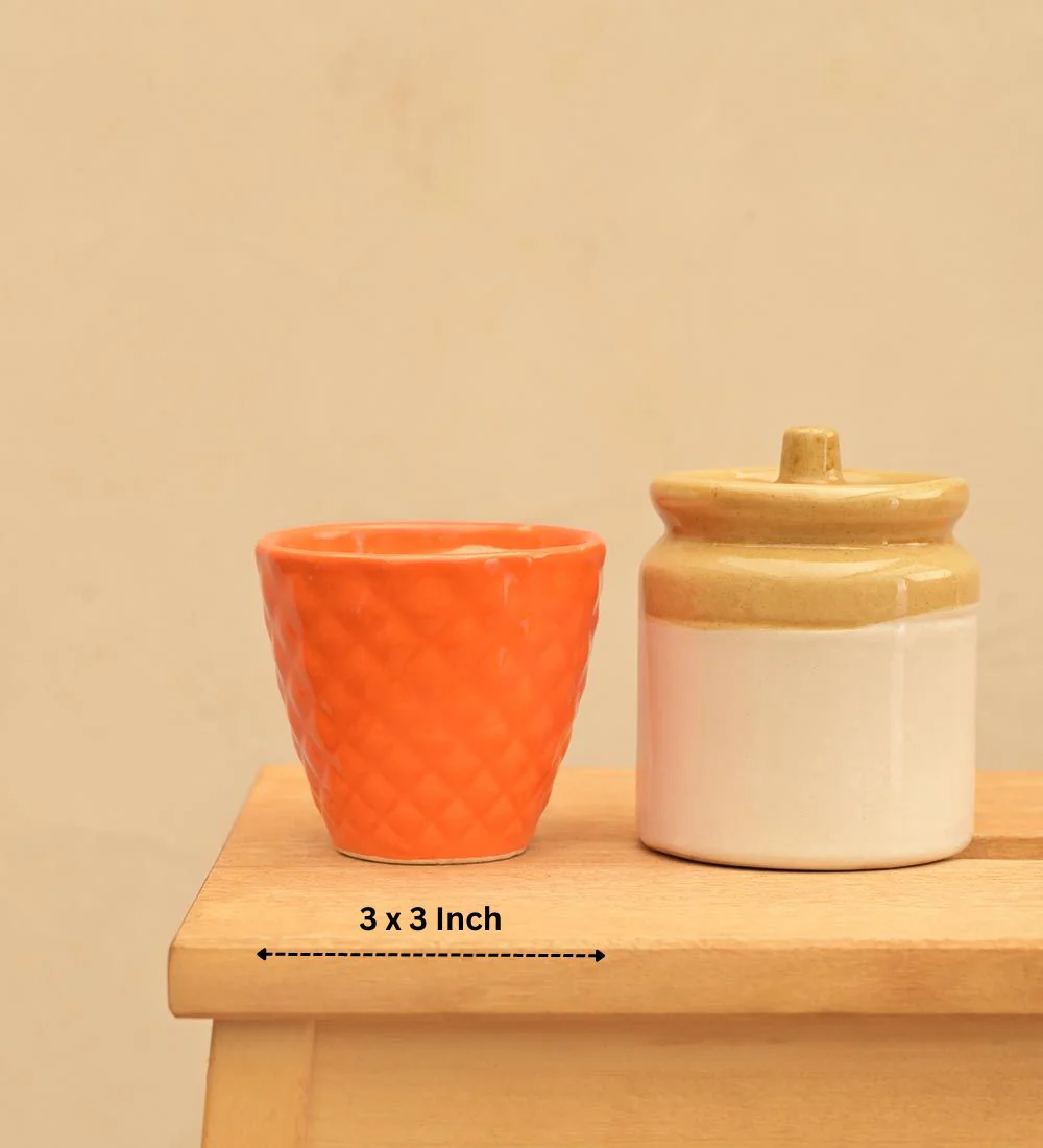 Firecracker Ceramic Planter - Image 19