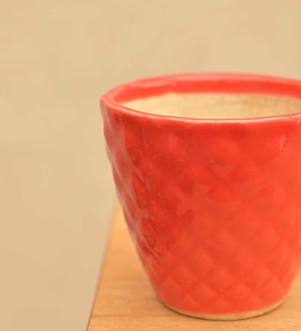 Firecracker Ceramic Planter - Image 2