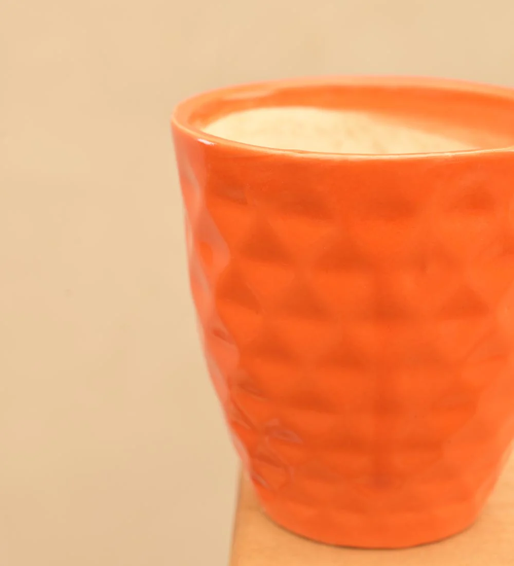 Firecracker Ceramic Planter - Image 22