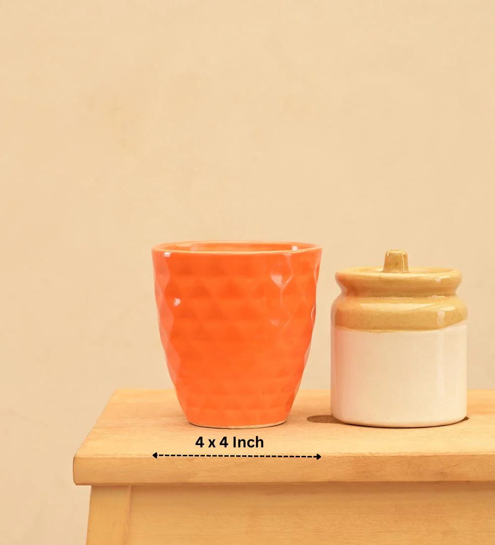 Firecracker Ceramic Planter - Image 23