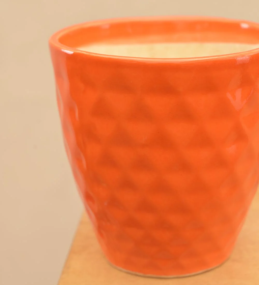 Firecracker Ceramic Planter - Image 26
