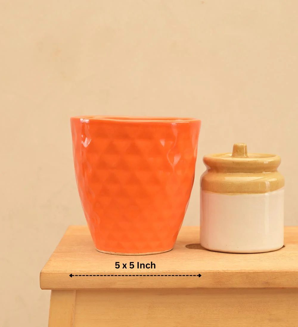 Firecracker Ceramic Planter - Image 27