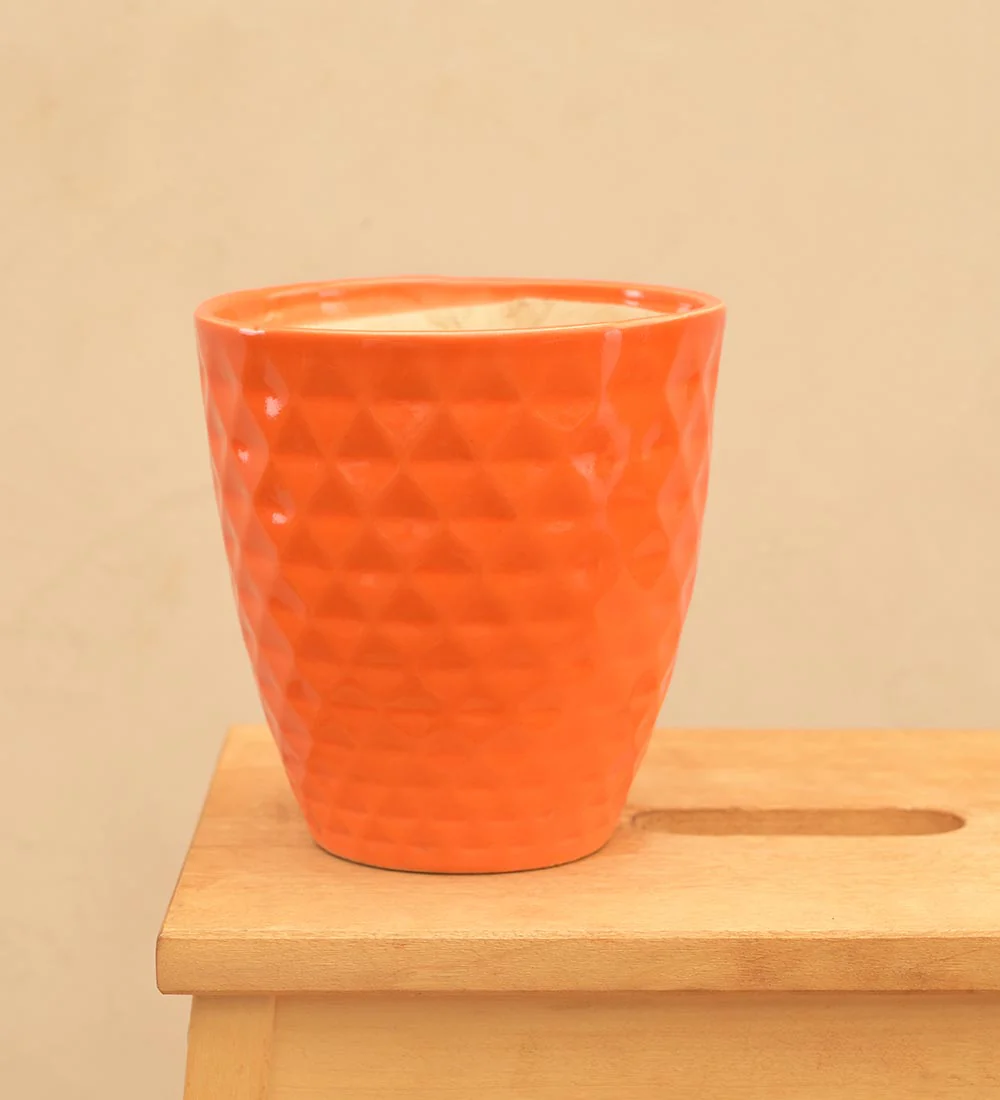 Firecracker Ceramic Planter - Image 31