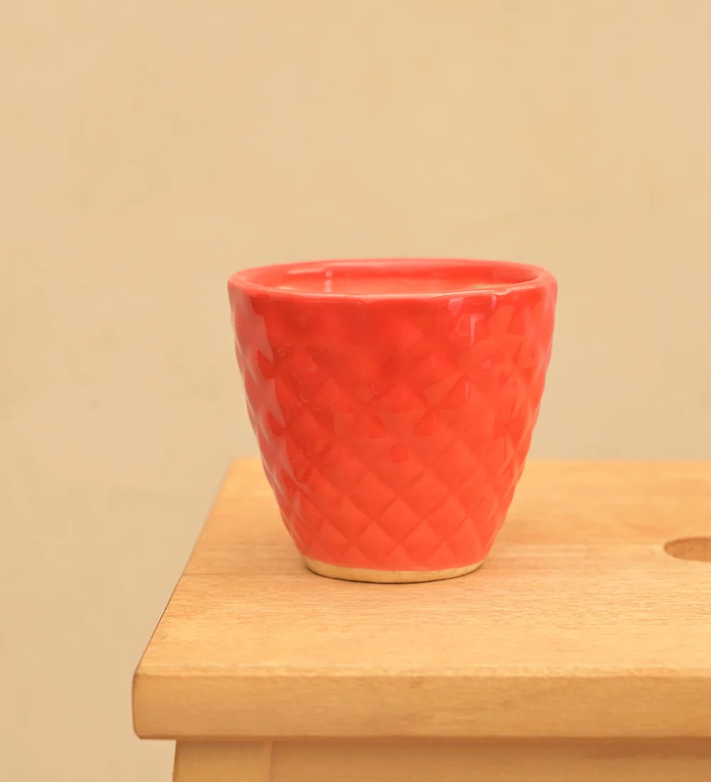 Firecracker Ceramic Planter - Image 4