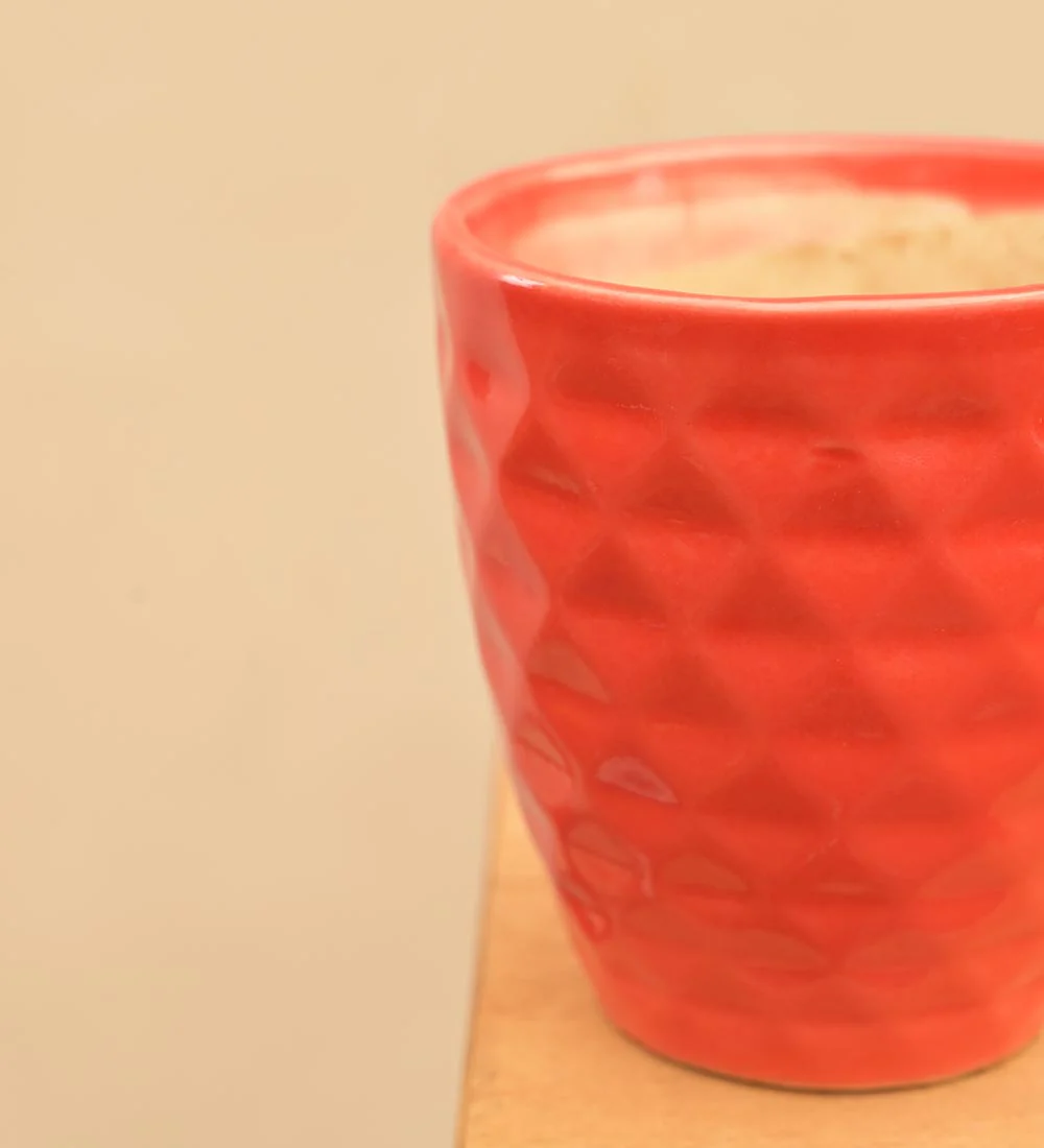 Firecracker Ceramic Planter - Image 6