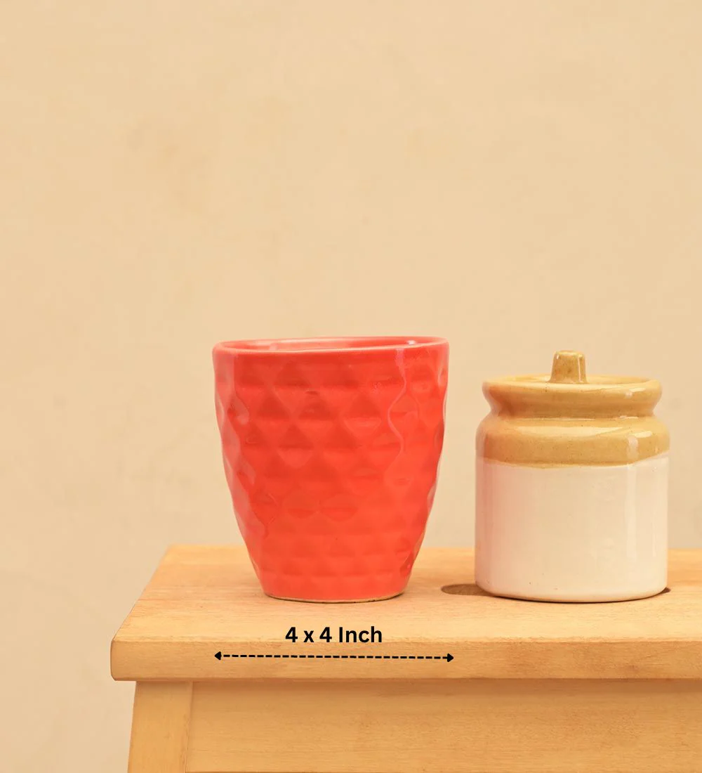 Firecracker Ceramic Planter - Image 7
