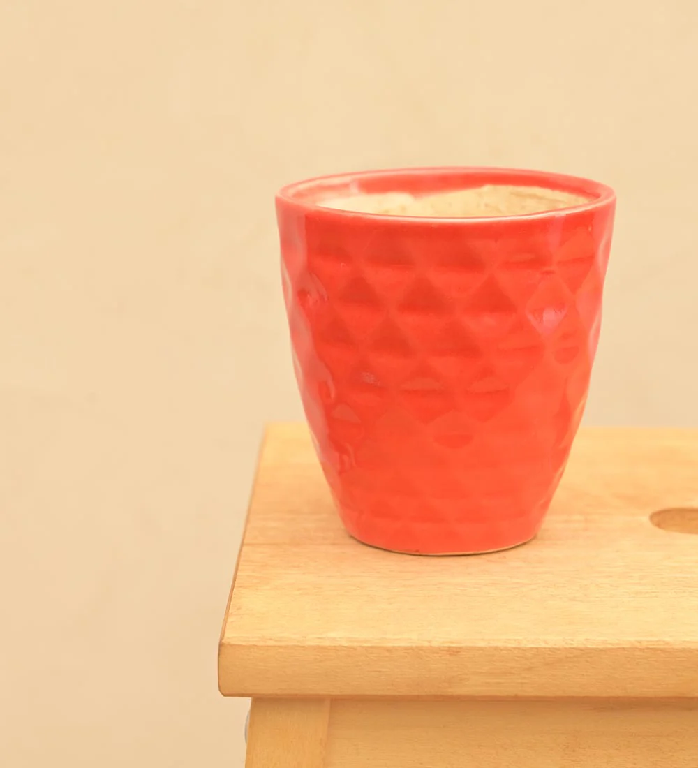 Firecracker Ceramic Planter - Image 8