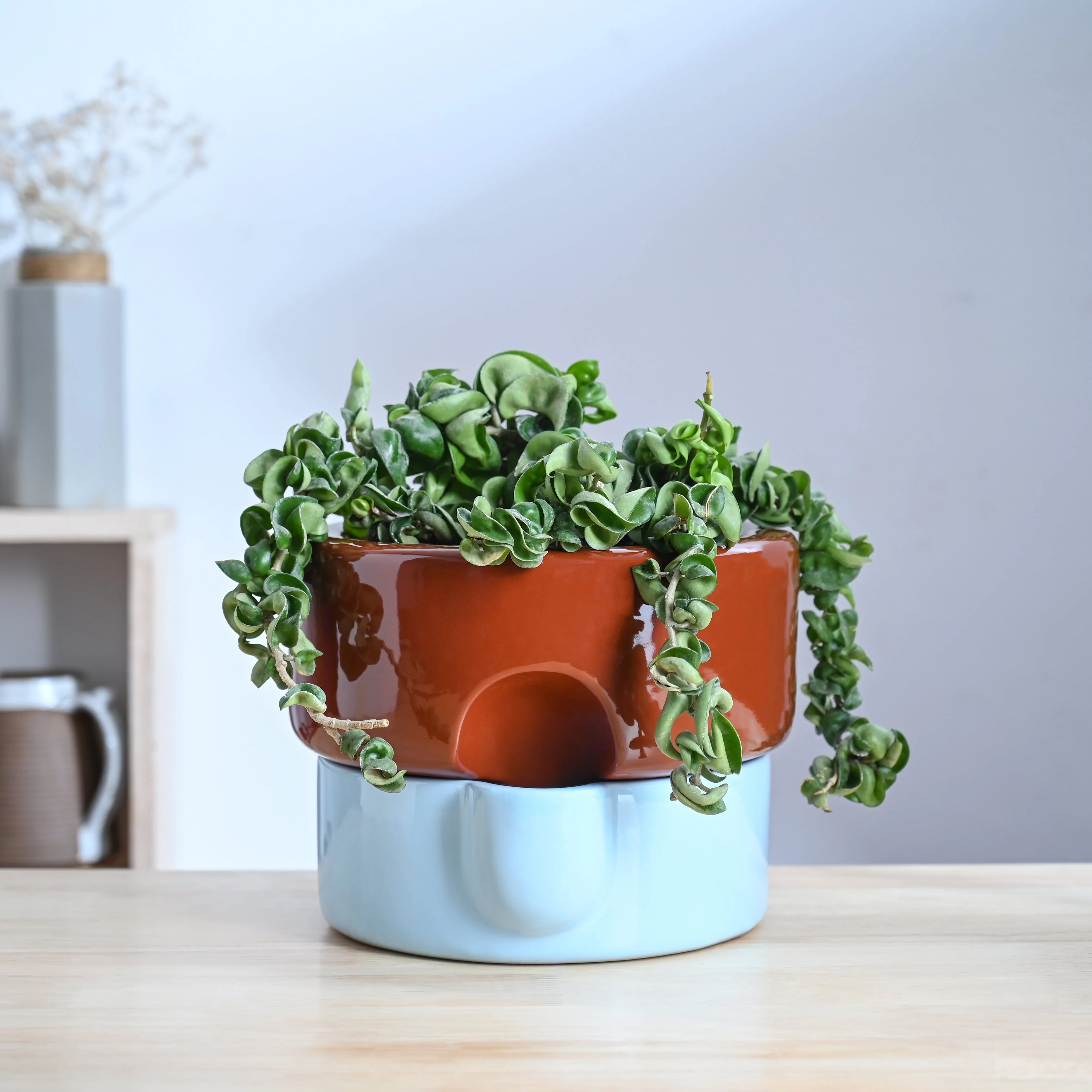 Flower Sunflower Ceramic Planter - Image 9