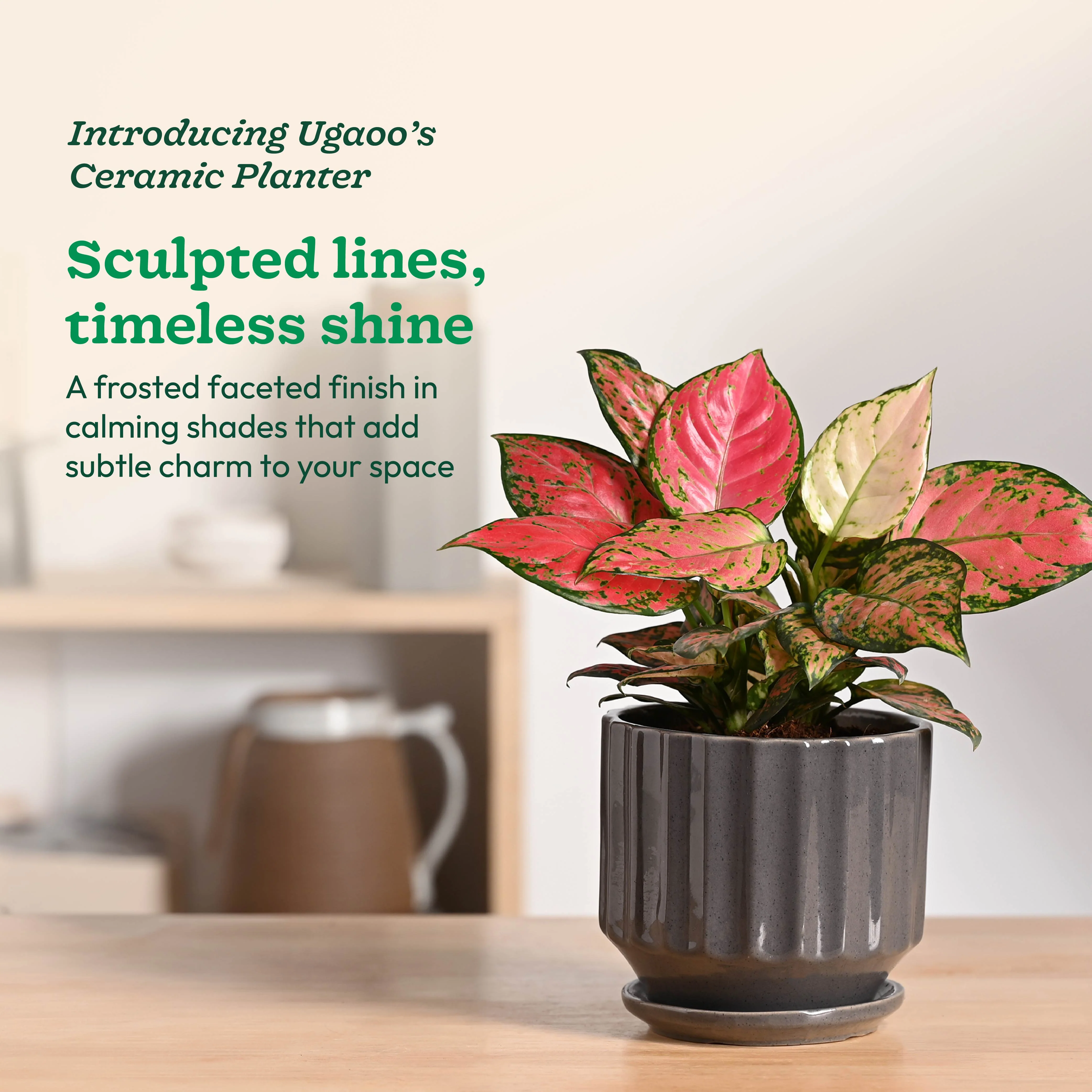 Frosted Ceramic Pot - Image 10