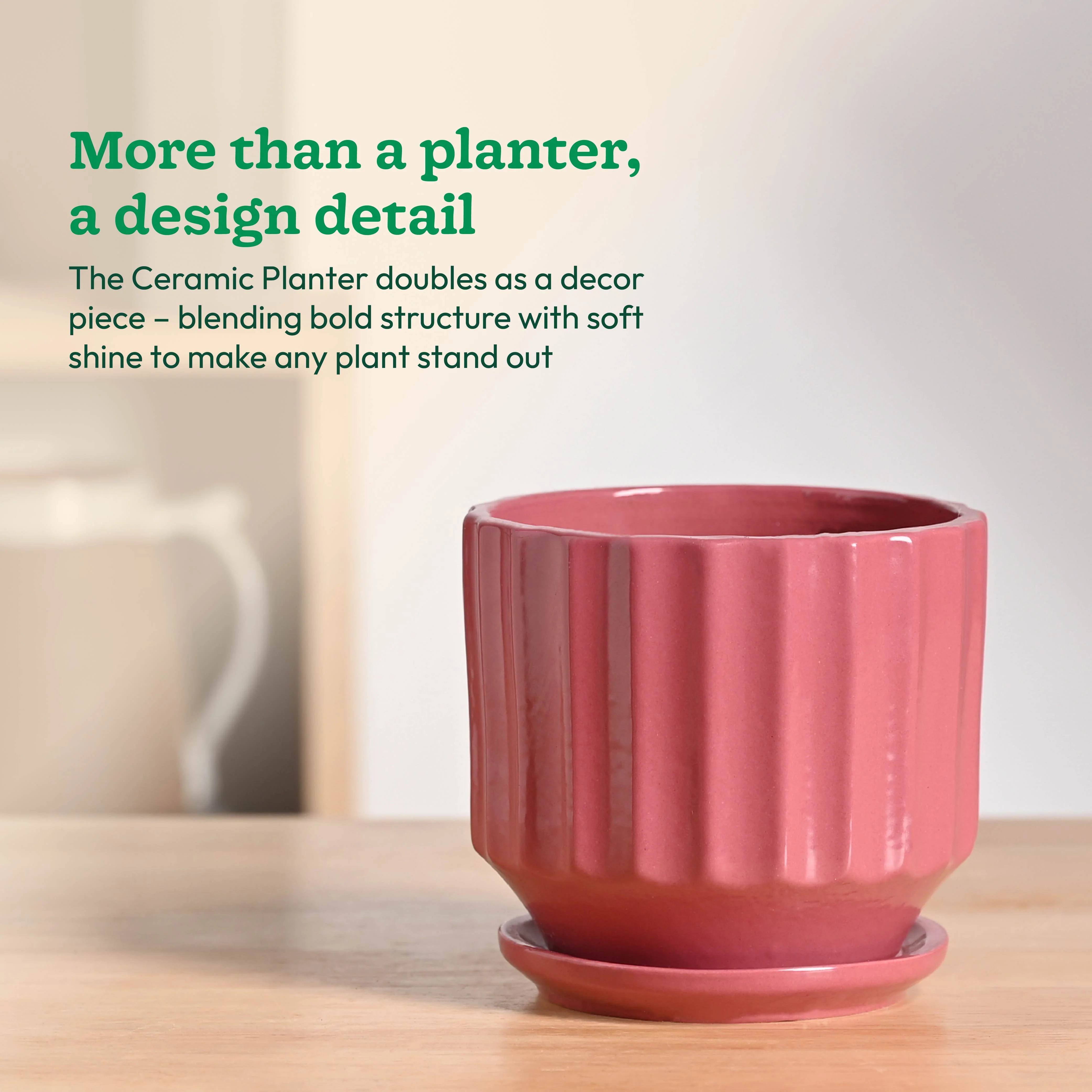 Frosted Ceramic Pot - Image 22