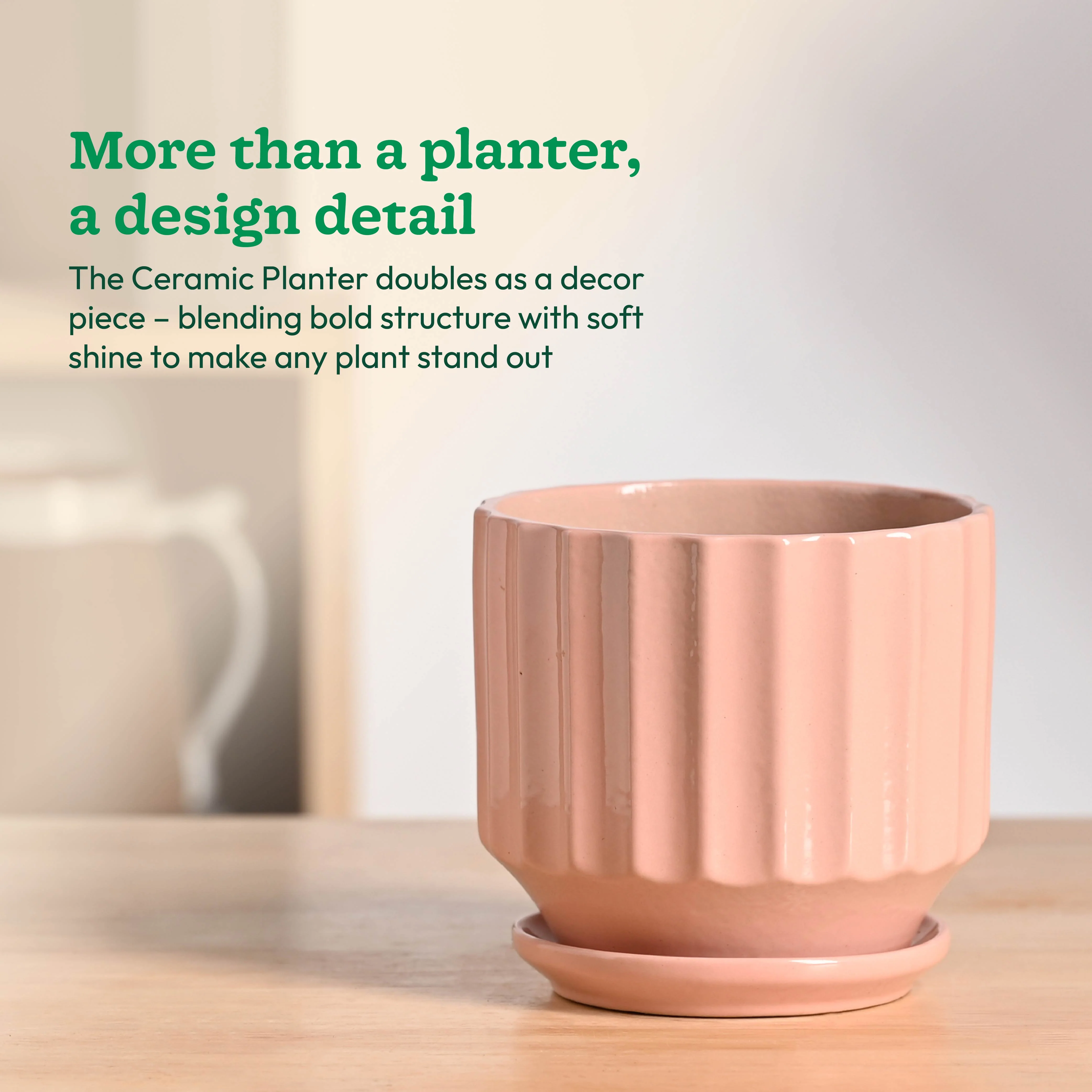 Frosted Ceramic Pot - Image 28