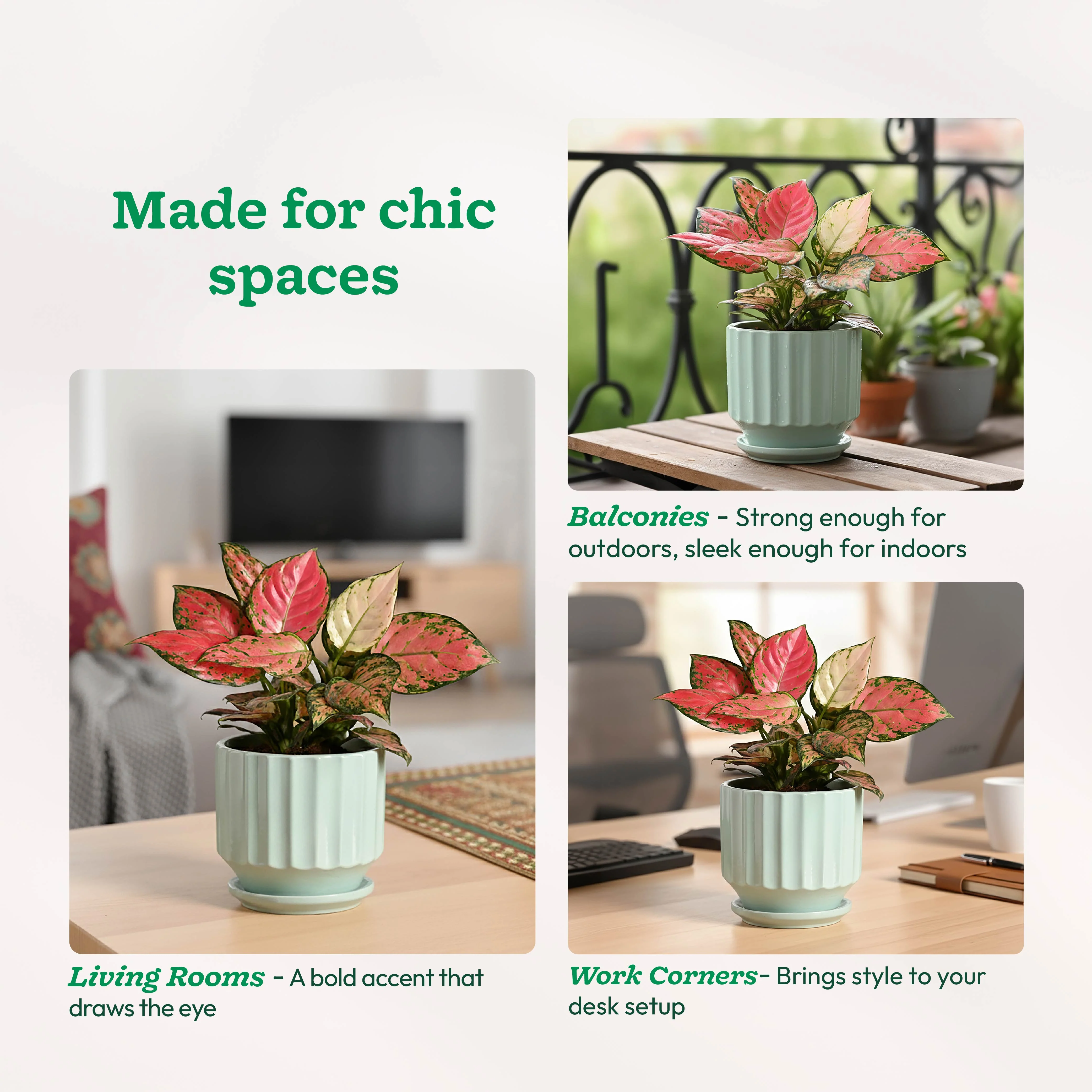 Frosted Ceramic Pot - Image 33