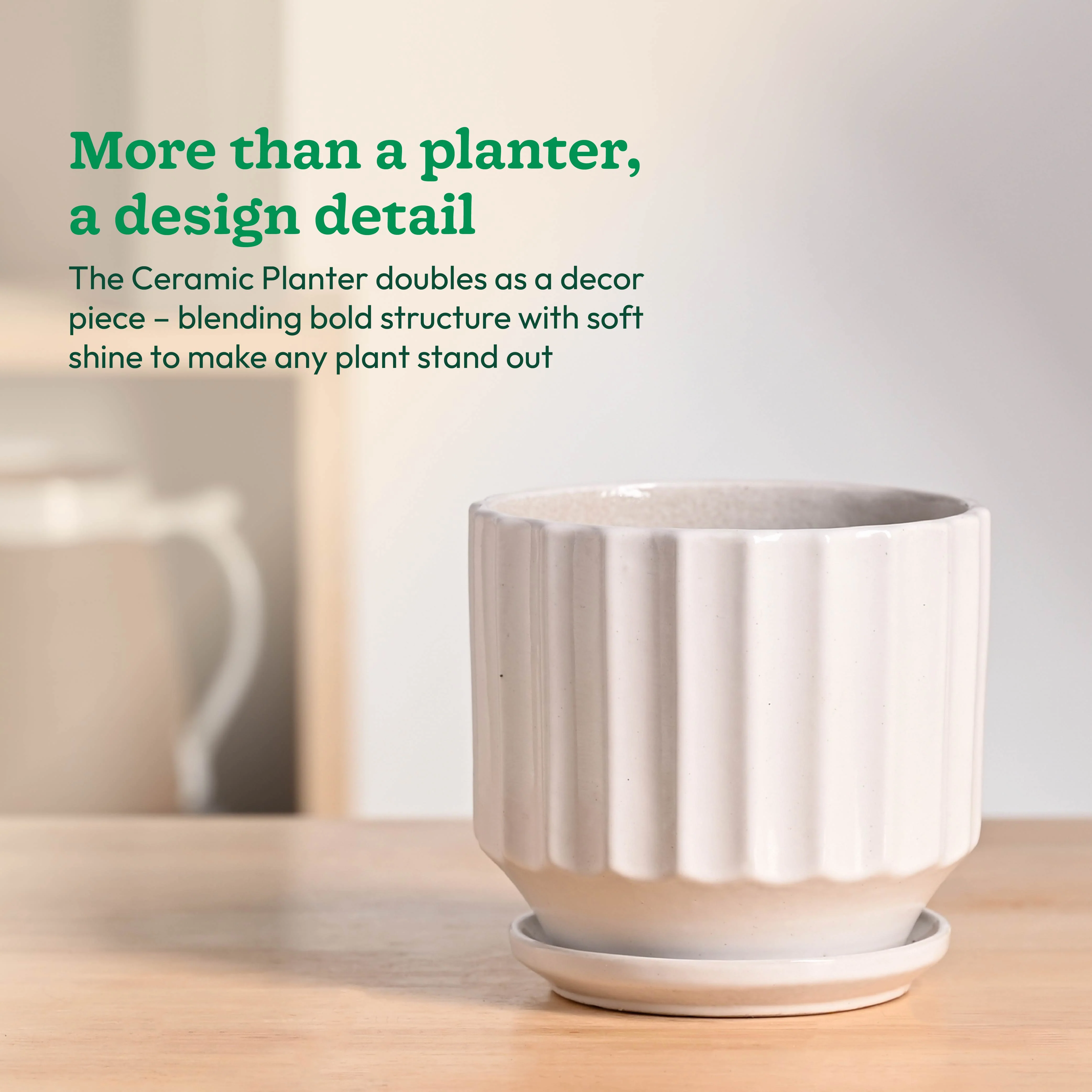 Frosted Ceramic Pot - Image 36