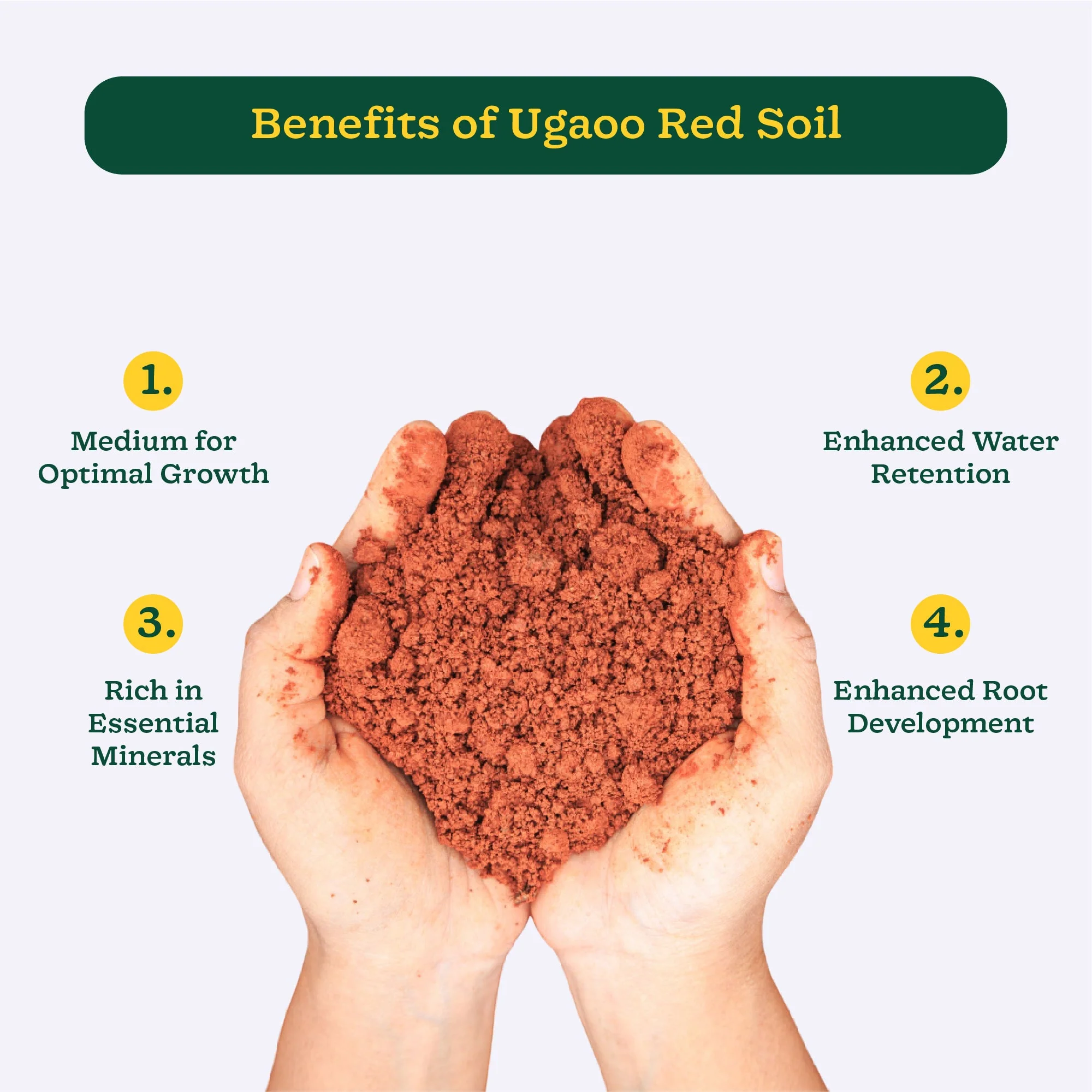 Garden Red Soil - Image 12