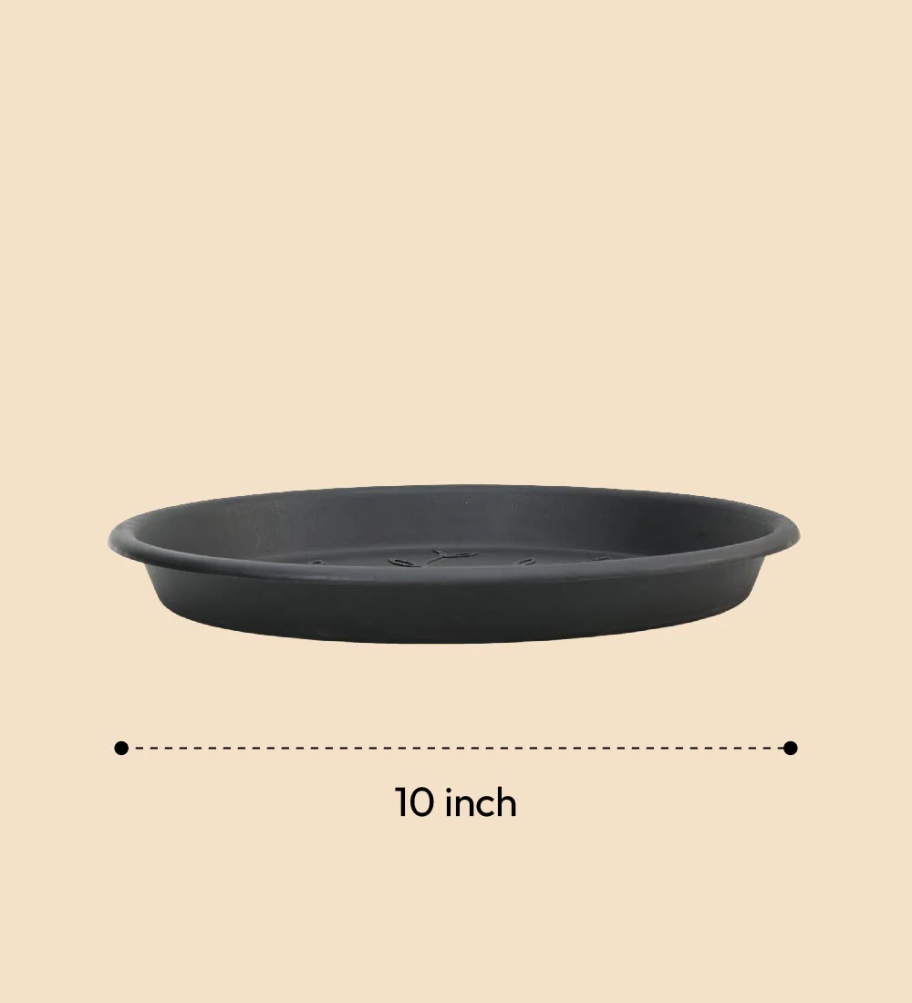 Gardening Plates - Black - Image 16