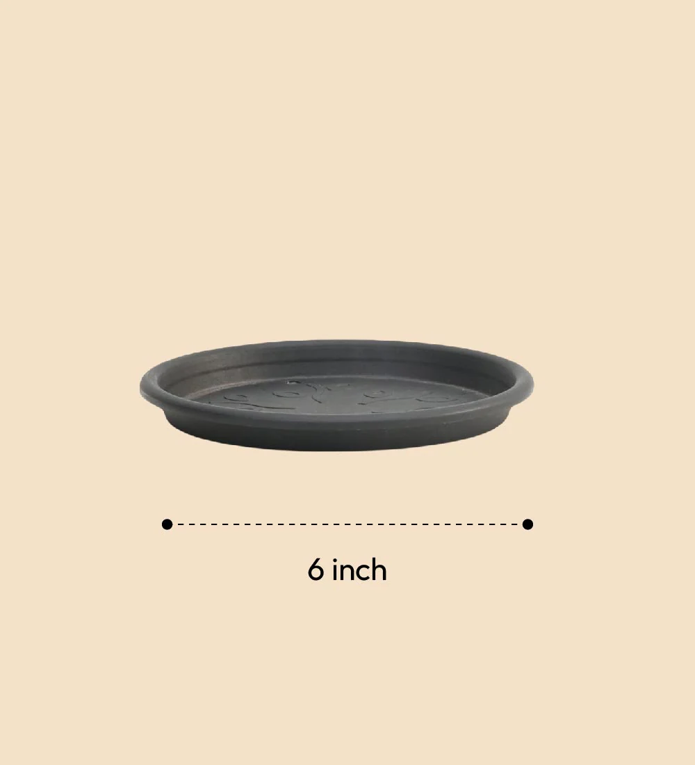Gardening Plates - Black - Image 8