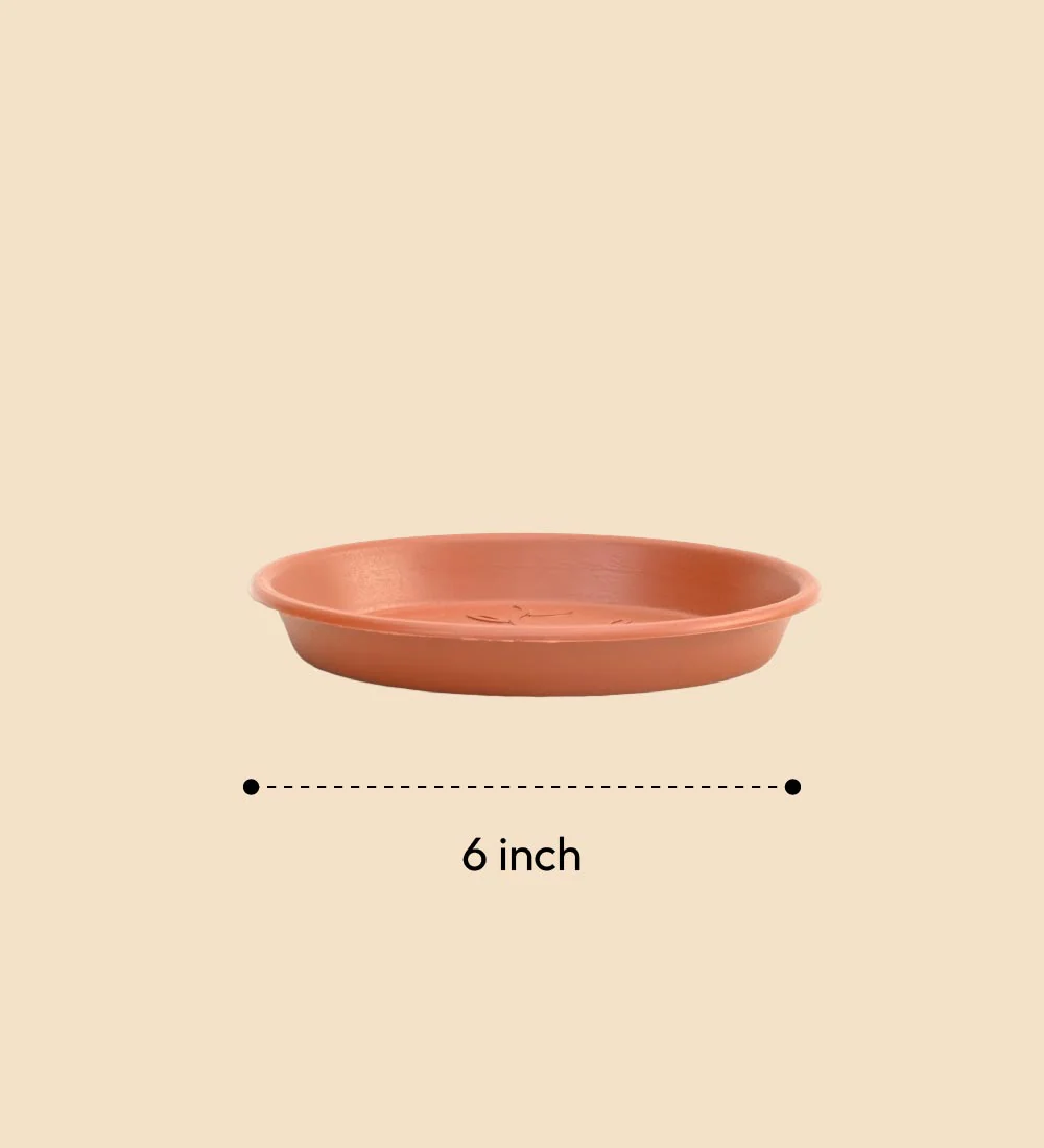 Gardening Plates - Terracotta Color - Image 6