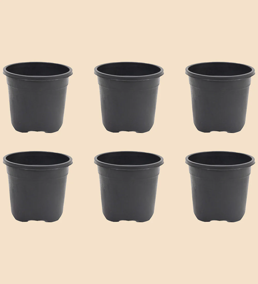 Gardening Pots - Black - Image 11