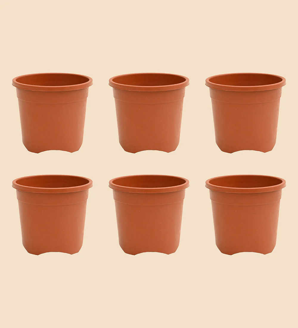 Gardening Pots - Terracotta Color - Image 5