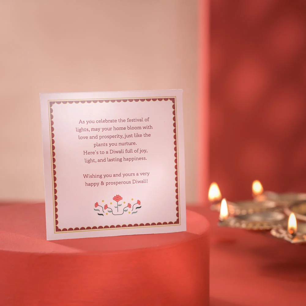 Golden Money Plant Diwali Gift with Greeting Card - Image 5