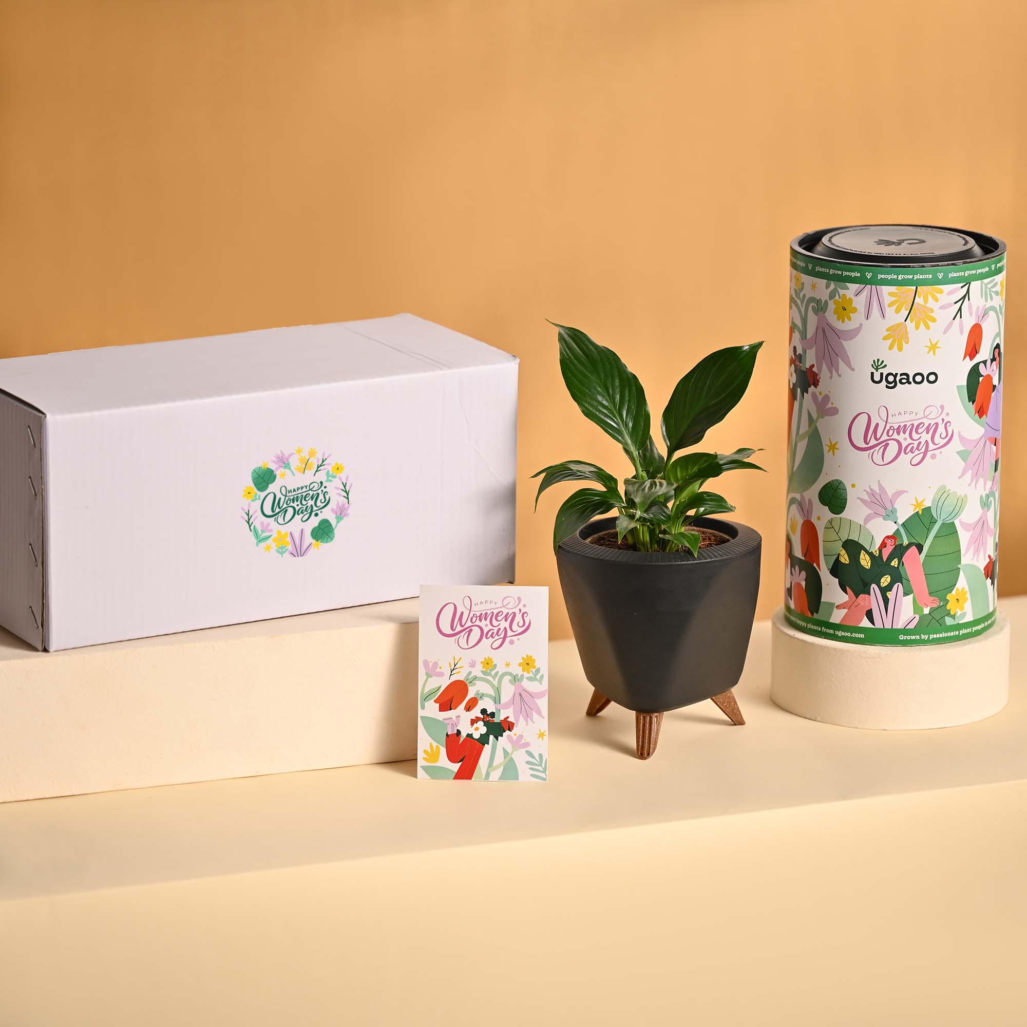 Grace & Growth – Women’s Day Plant & Chocolate Hamper - Image 2
