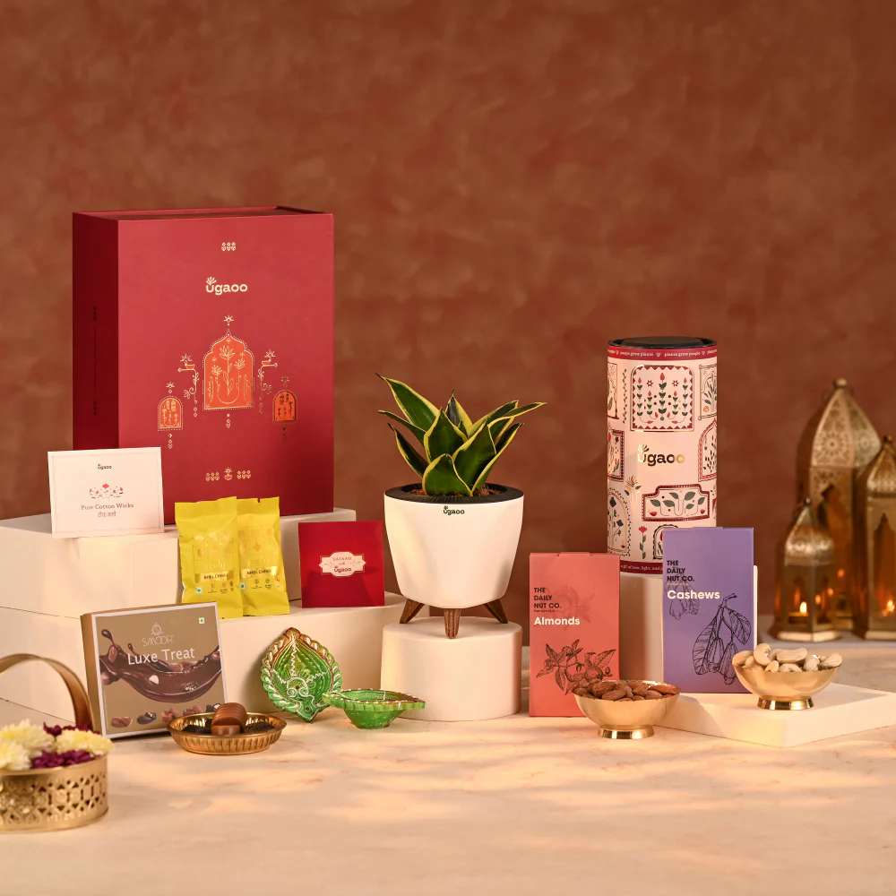 Grace in Gold - Corporate Diwali Gift