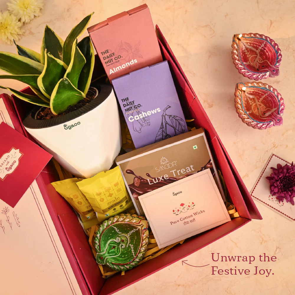 Grace in Gold - Corporate Diwali Gift - Image 3