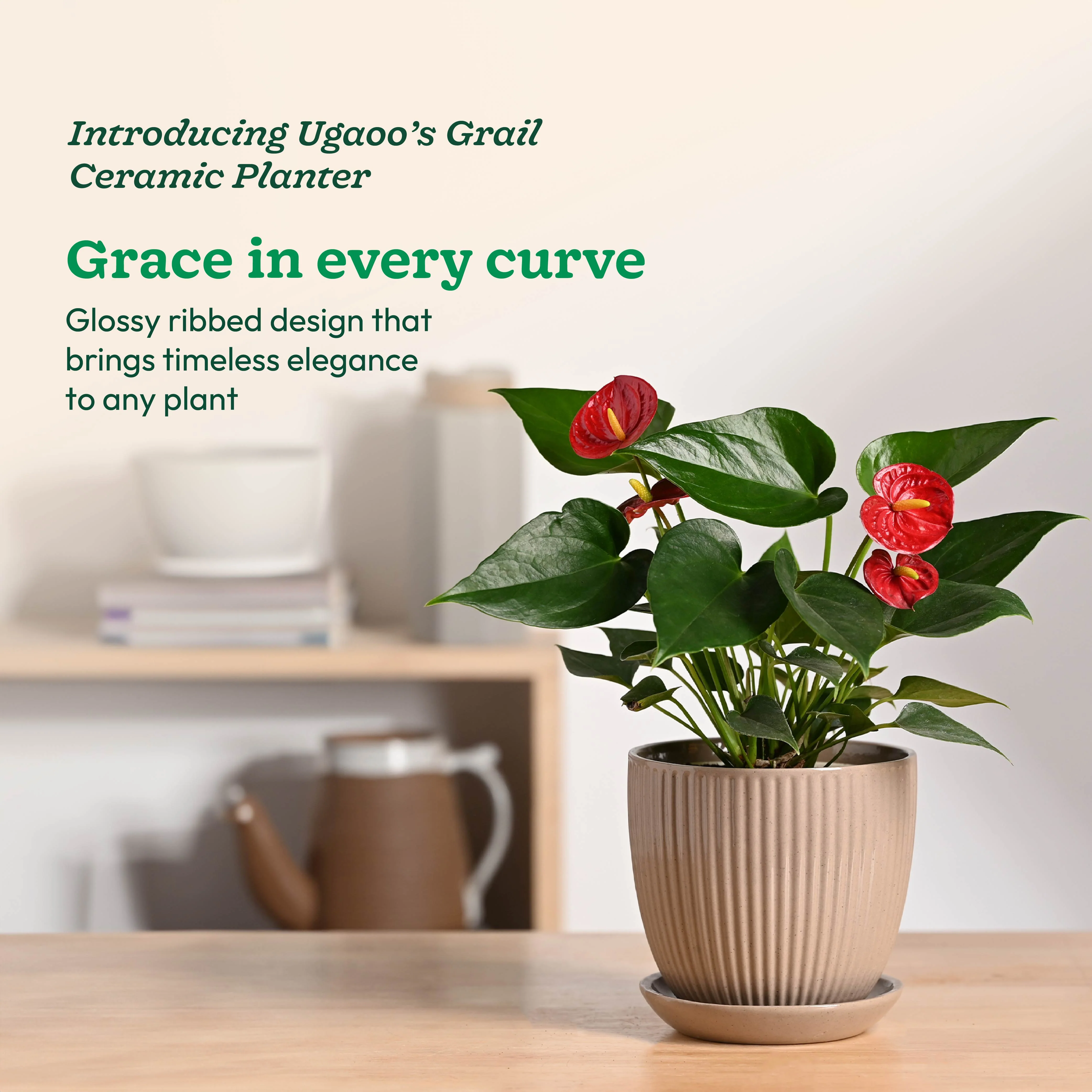 Grail Ceramic Pot - Image 15