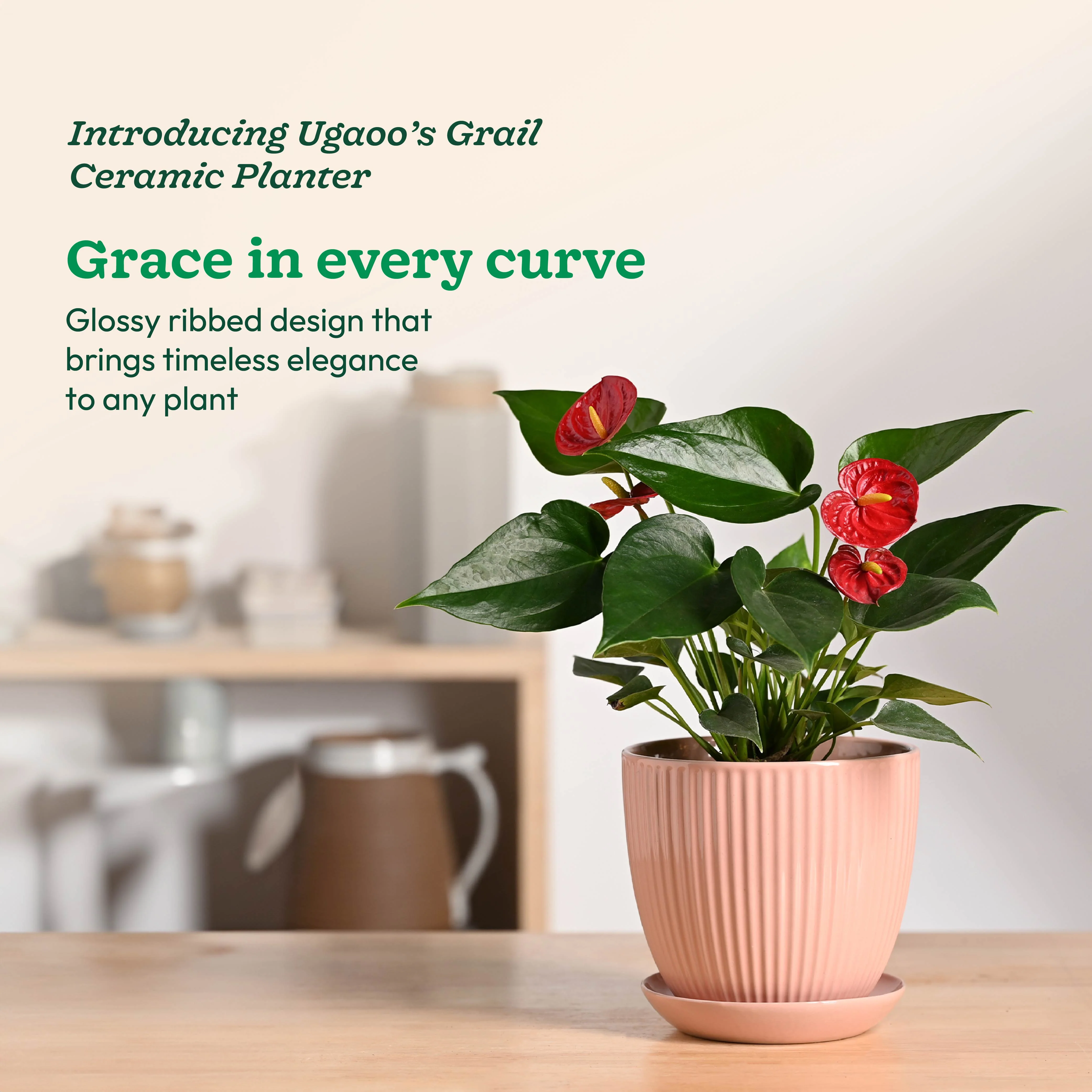 Grail Ceramic Pot - Image 27