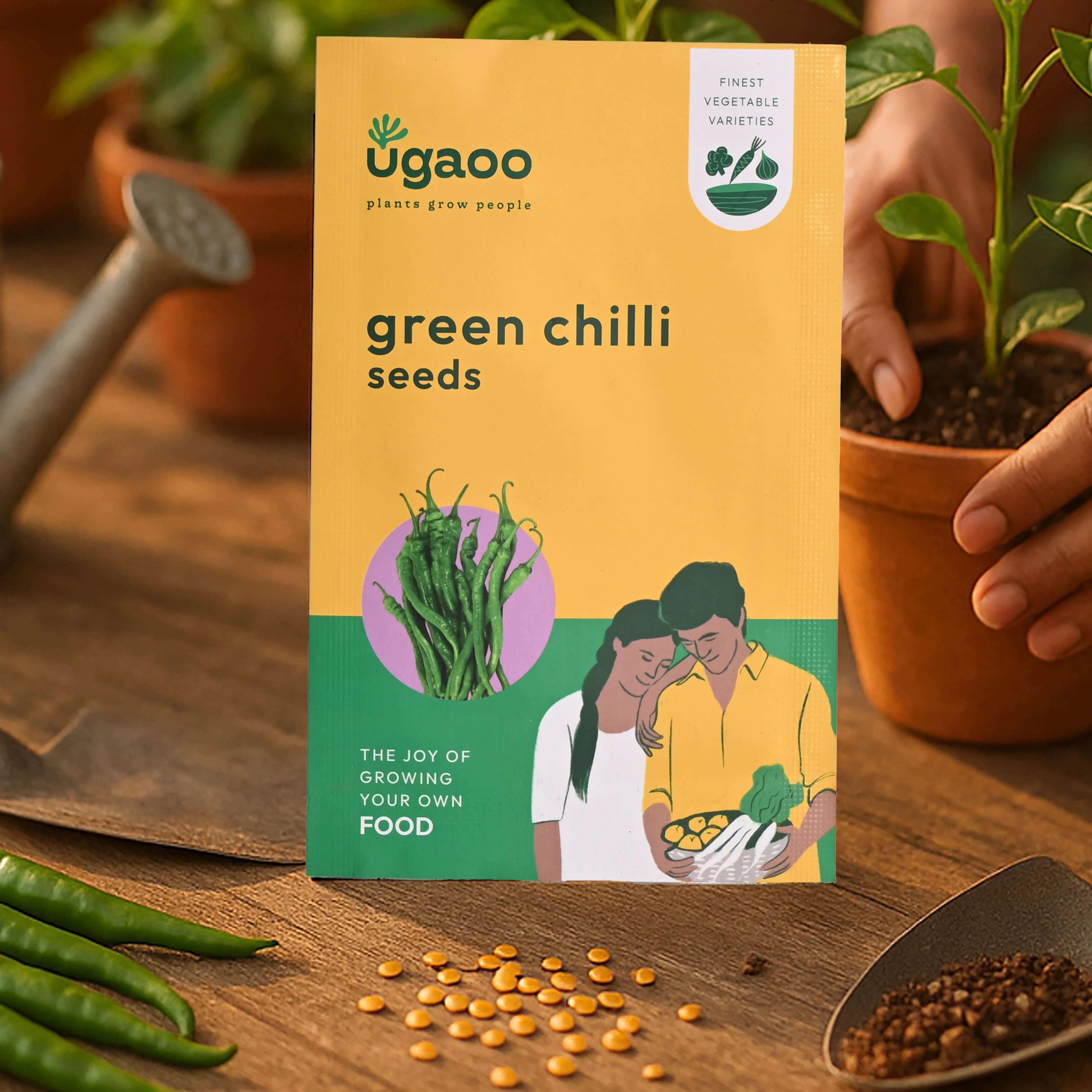 Green Chilli Seeds - Image 28