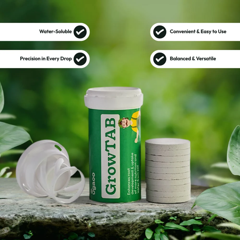 Grow TAB - Image 3