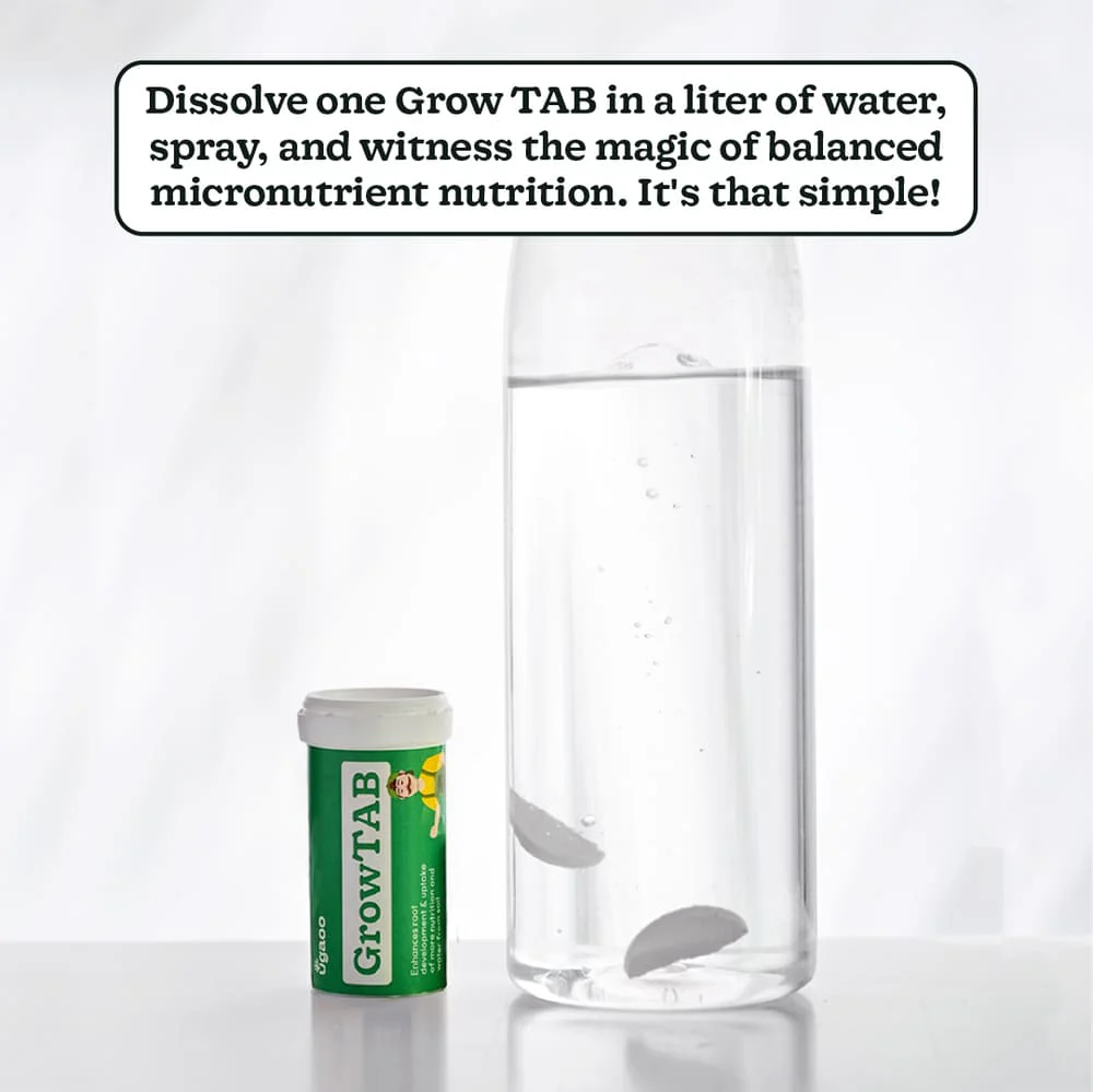 Grow TAB - Image 4