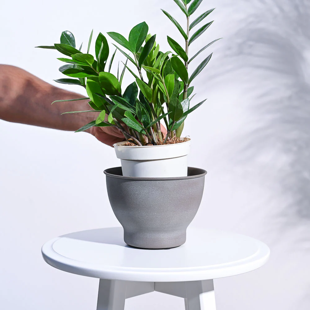 Gunmetal Goblet Planter - Image 14