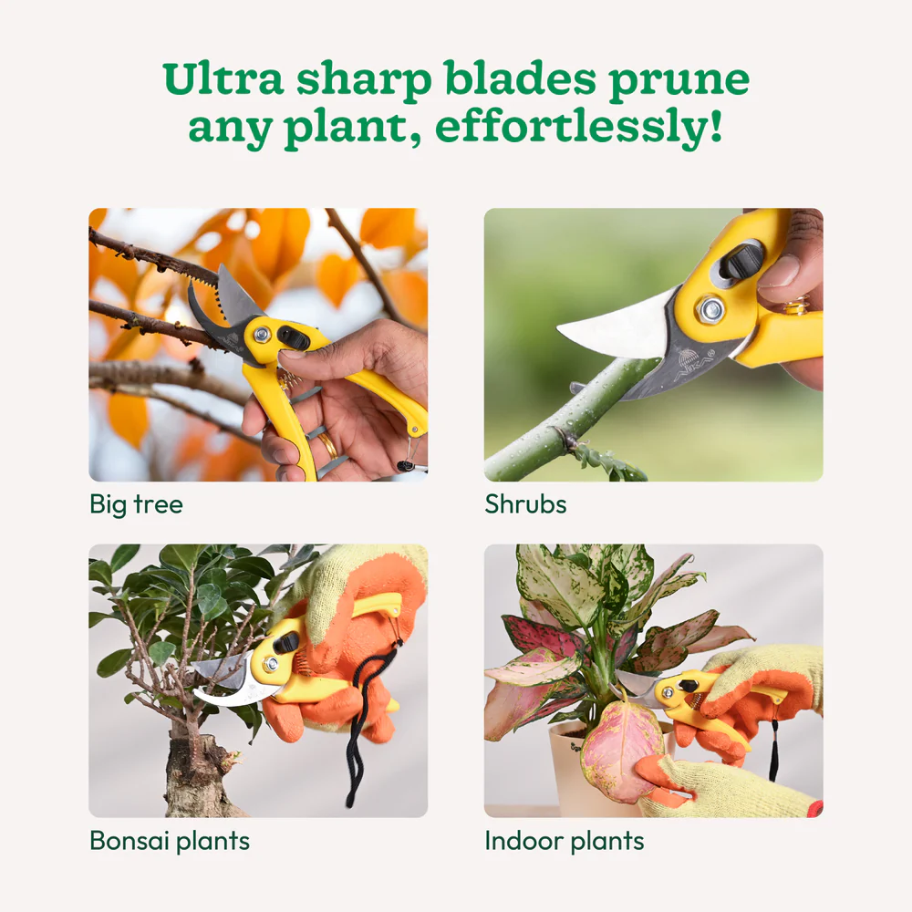 Hand Pruner - Image 4