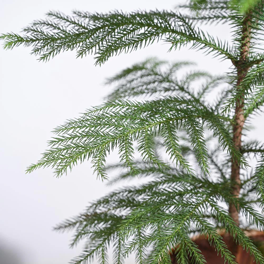 Indian Christmas Tree - Image 7