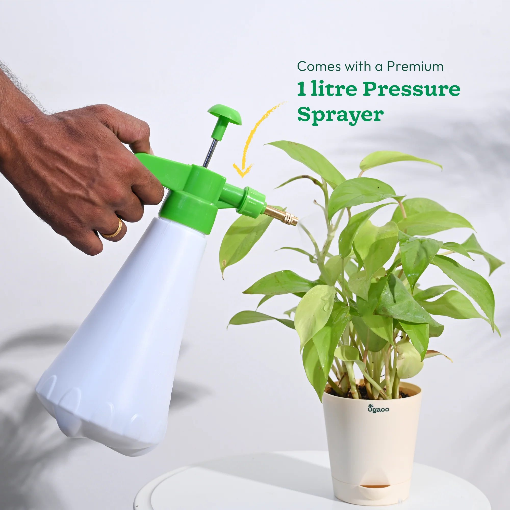 Indoor Gardening Kit - Image 5