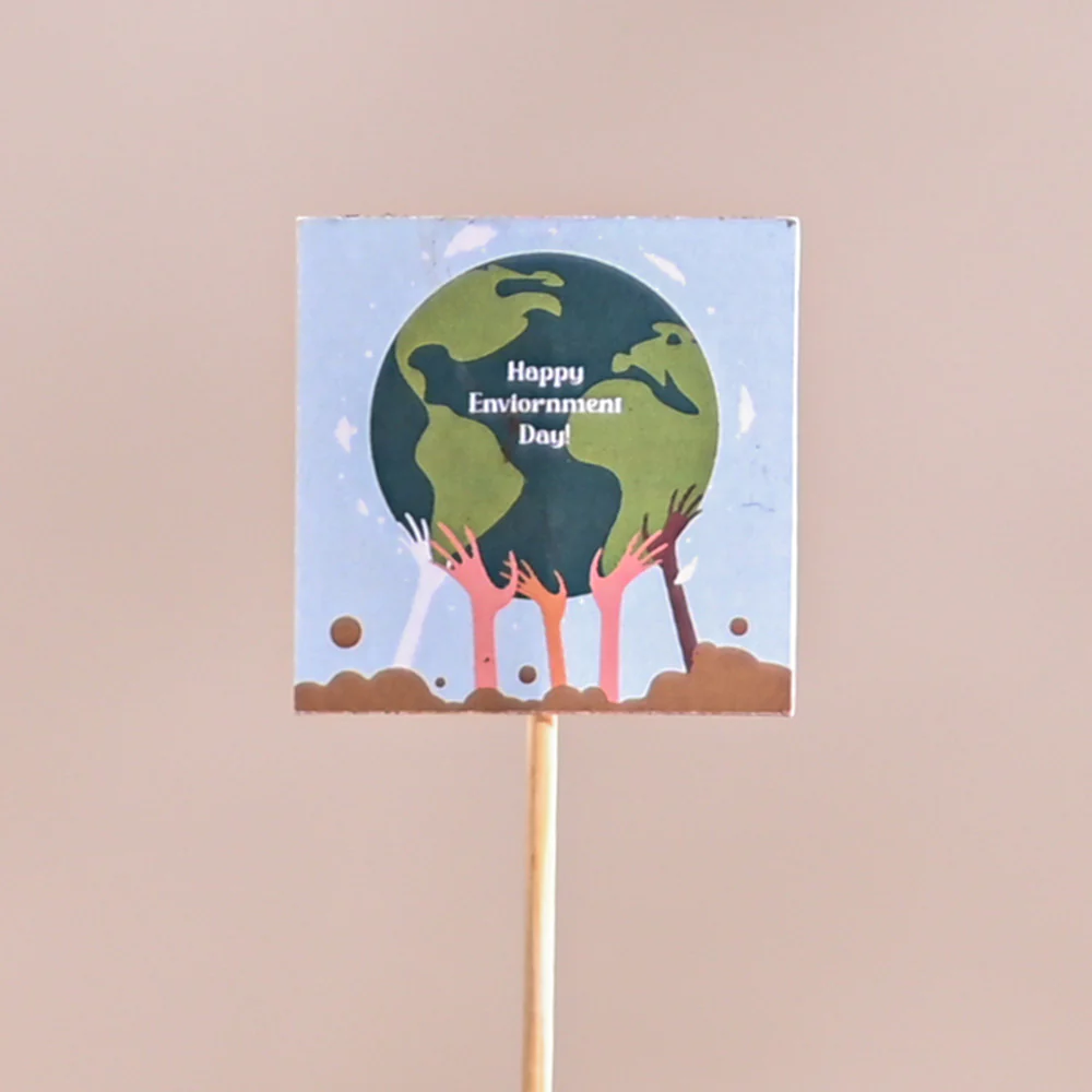 Jade Mini Plant For Environment Day Gifting - Image 11