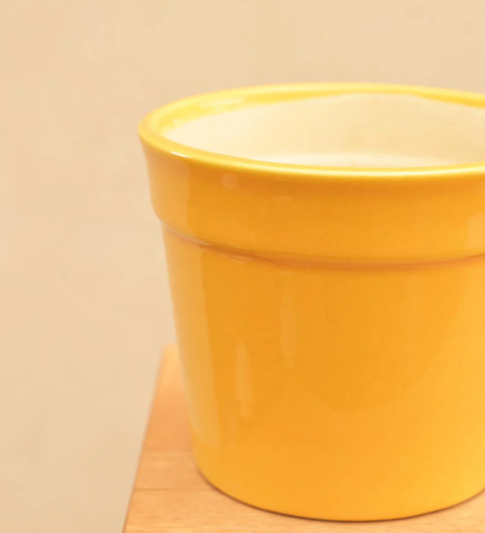 Kaller Ceramic Planter - Image 22