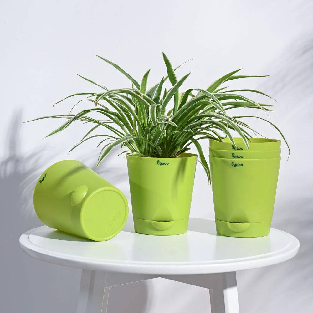 Krish Self Watering Planter - Set of 5 - Image 42