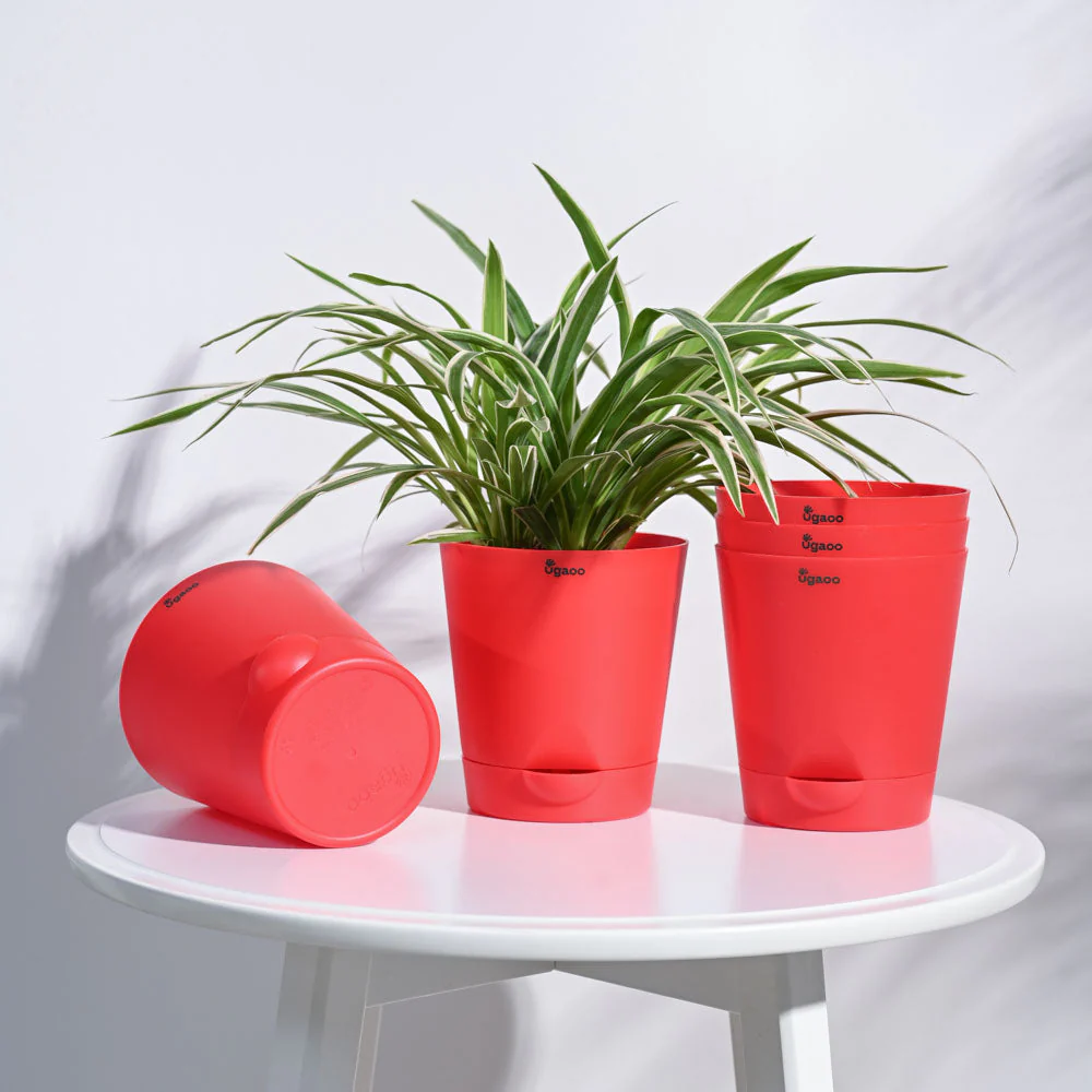Krish Self Watering Planter - Set of 5 - Image 57