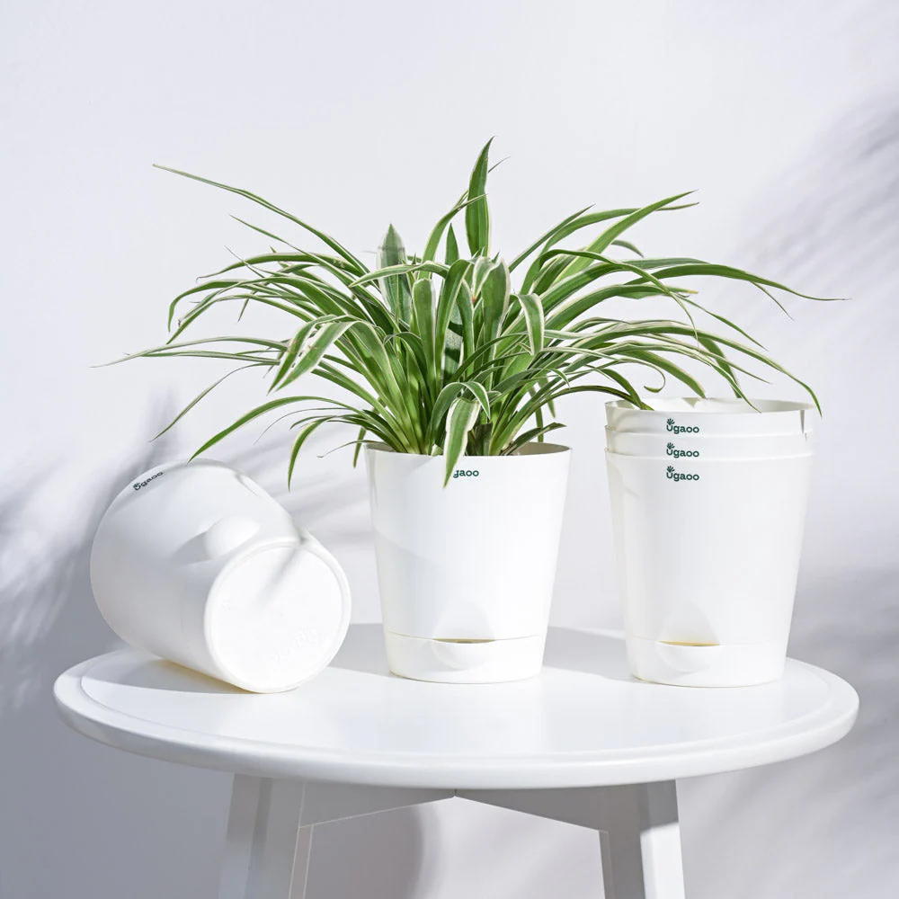 Krish Self Watering Planter - Set of 5 - Image 62