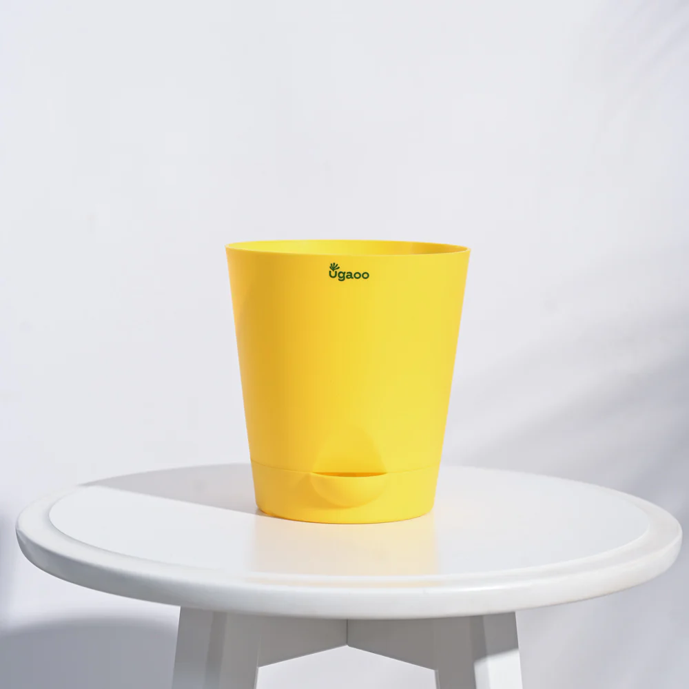 Krish Self Watering Planter - Set of 5 - Image 69