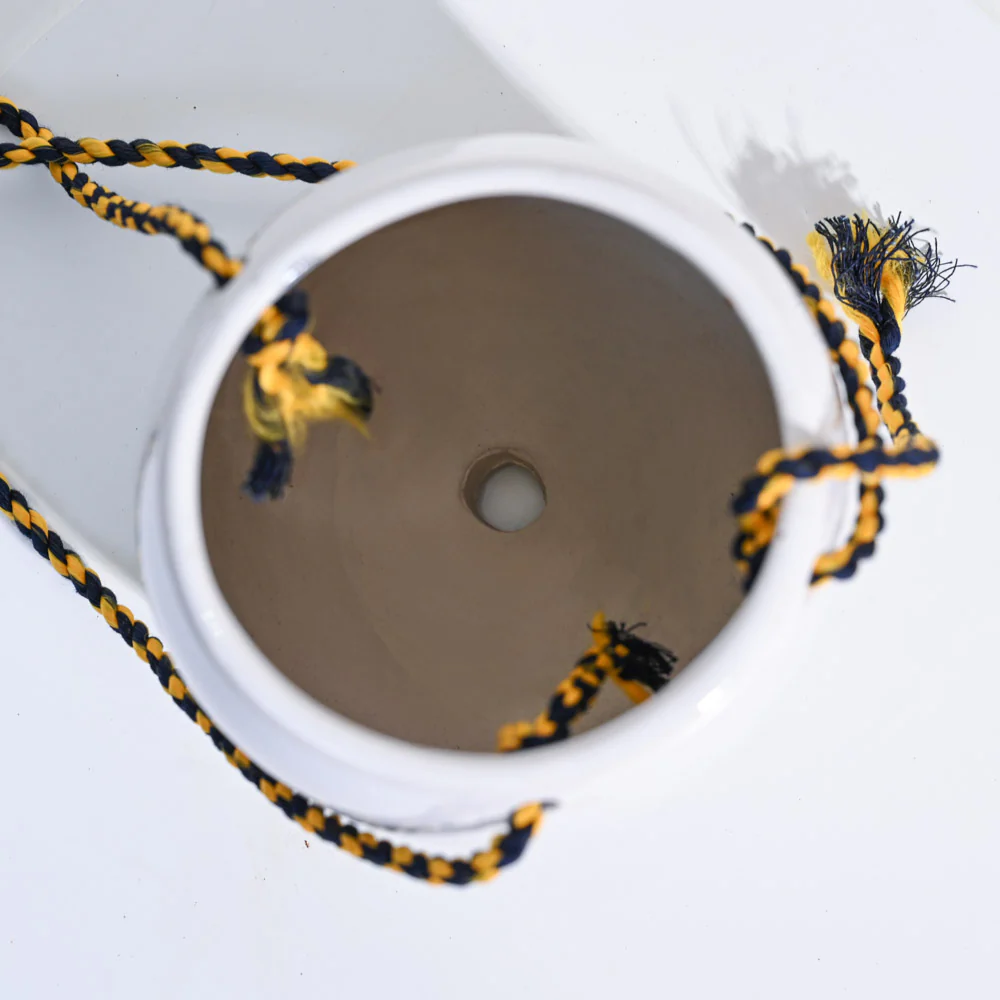 Ladybug Handmade Ceramic Hanging Planter - Image 20