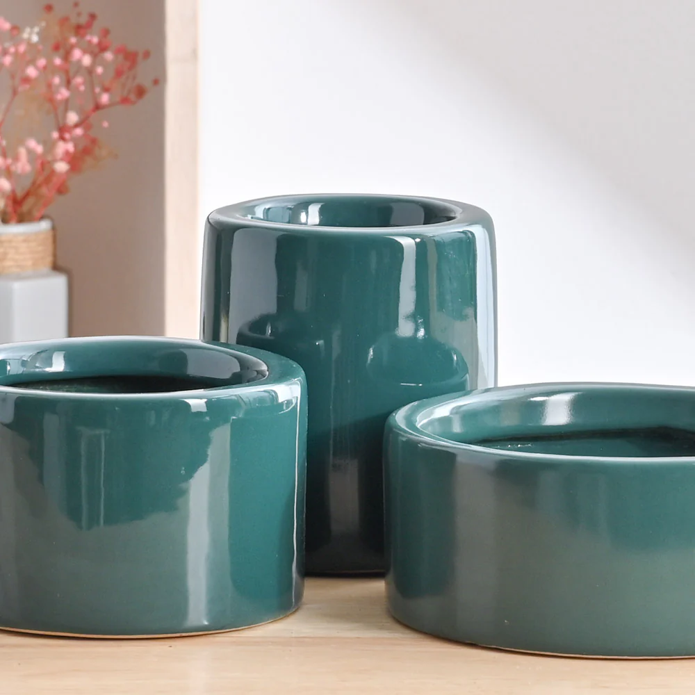 Lilac Stories Bundle - Dark green - Image 3