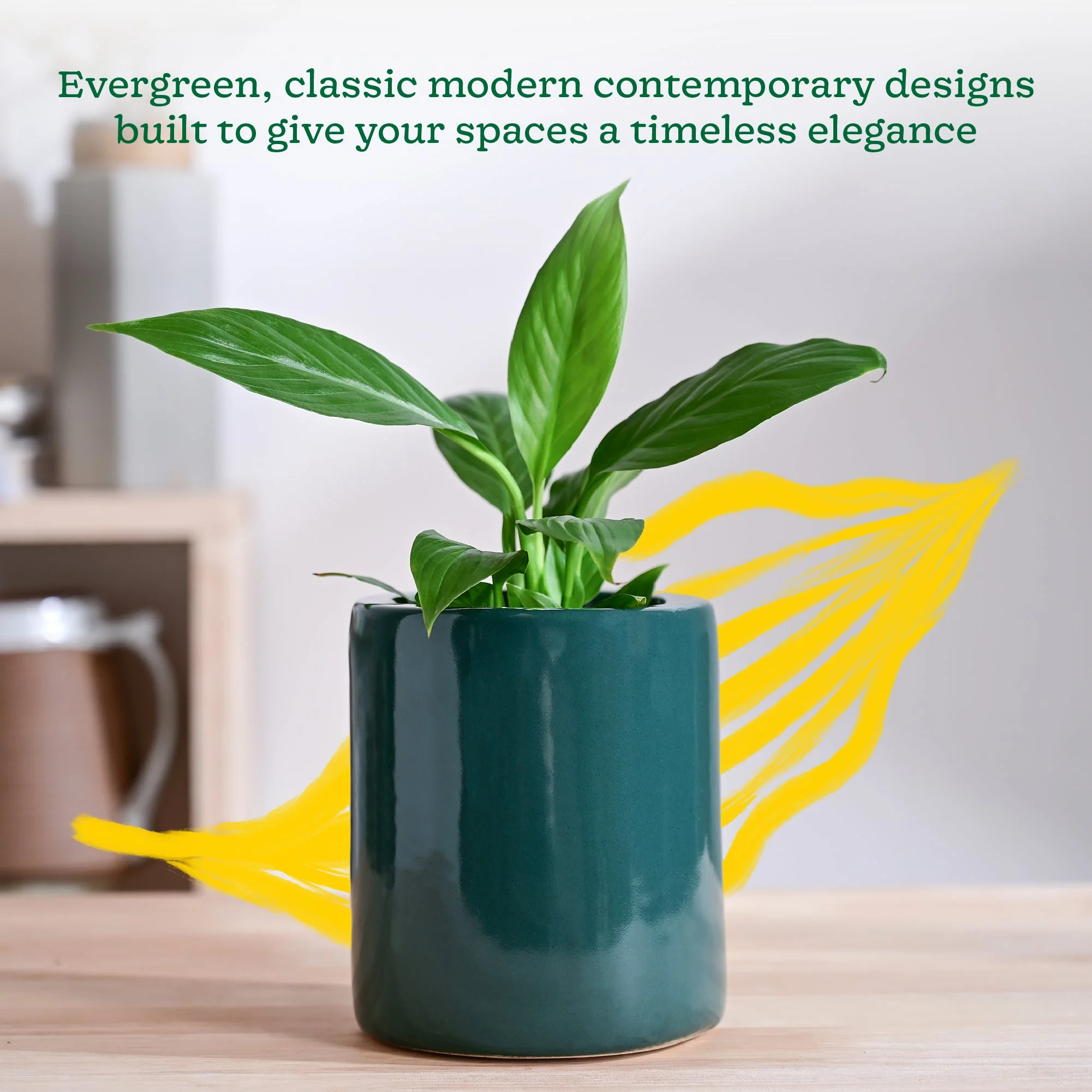 Lilac Stories Extra small Ceramic Planter - Image 10