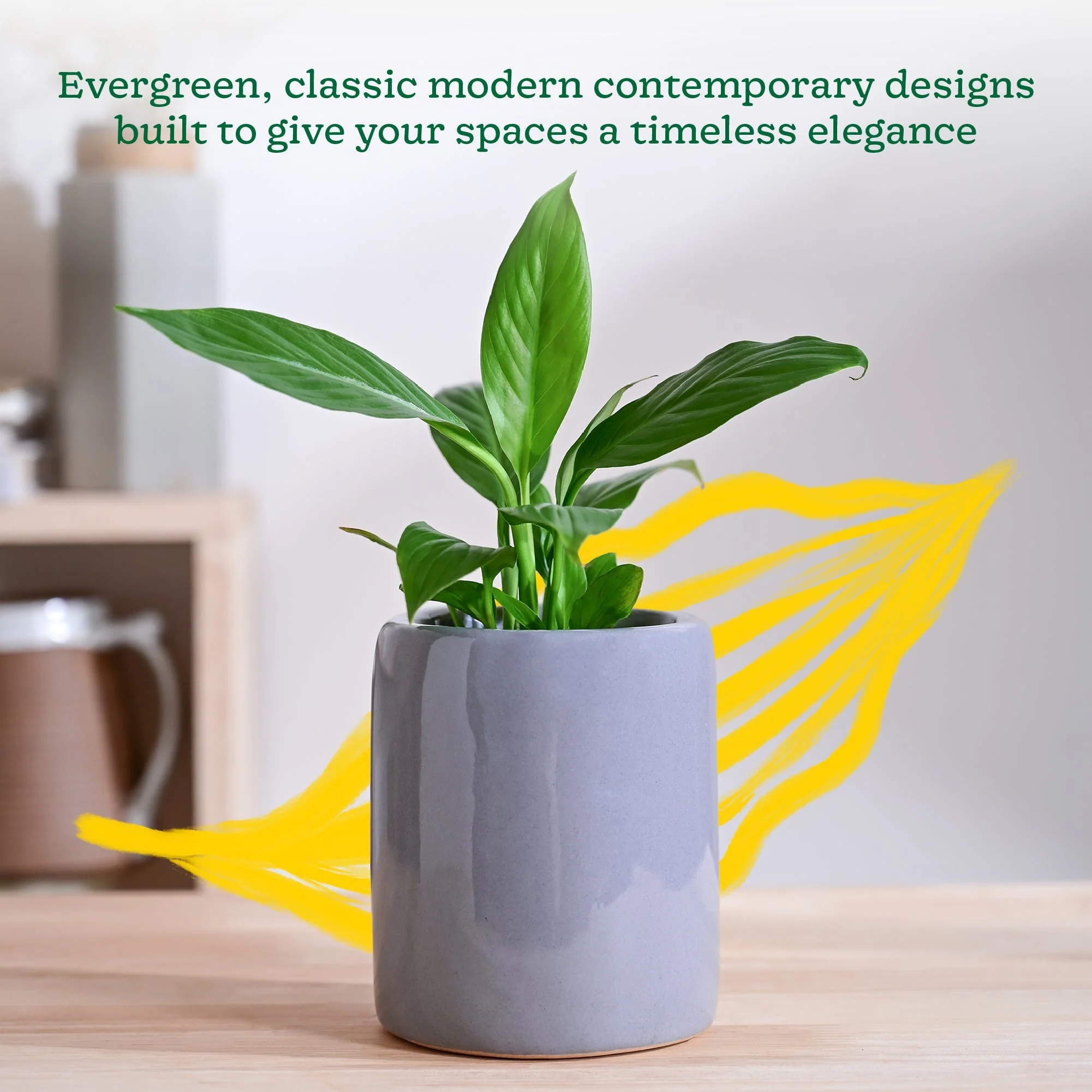 Lilac Stories Extra small Ceramic Planter - Image 18