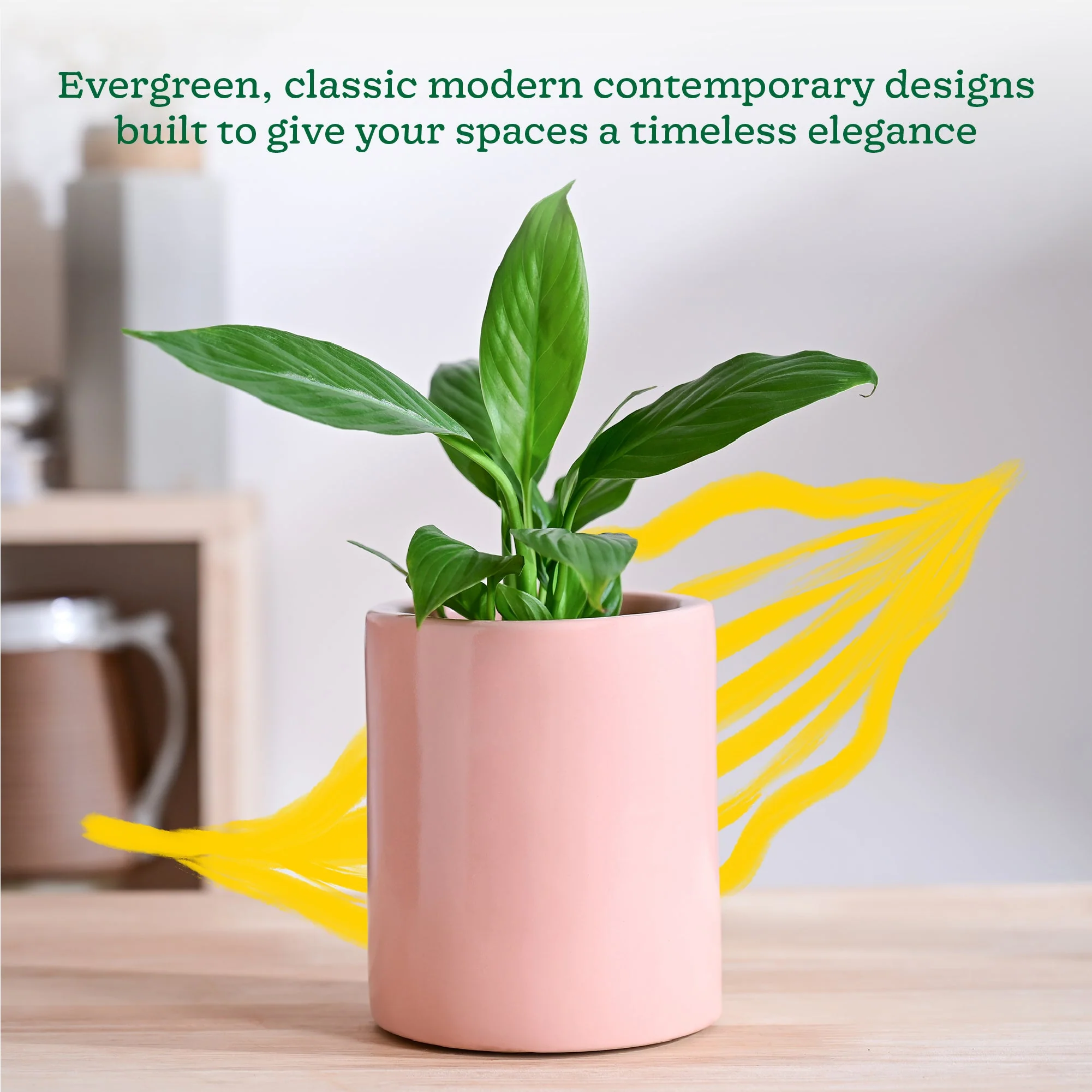 Lilac Stories Extra small Ceramic Planter - Image 26