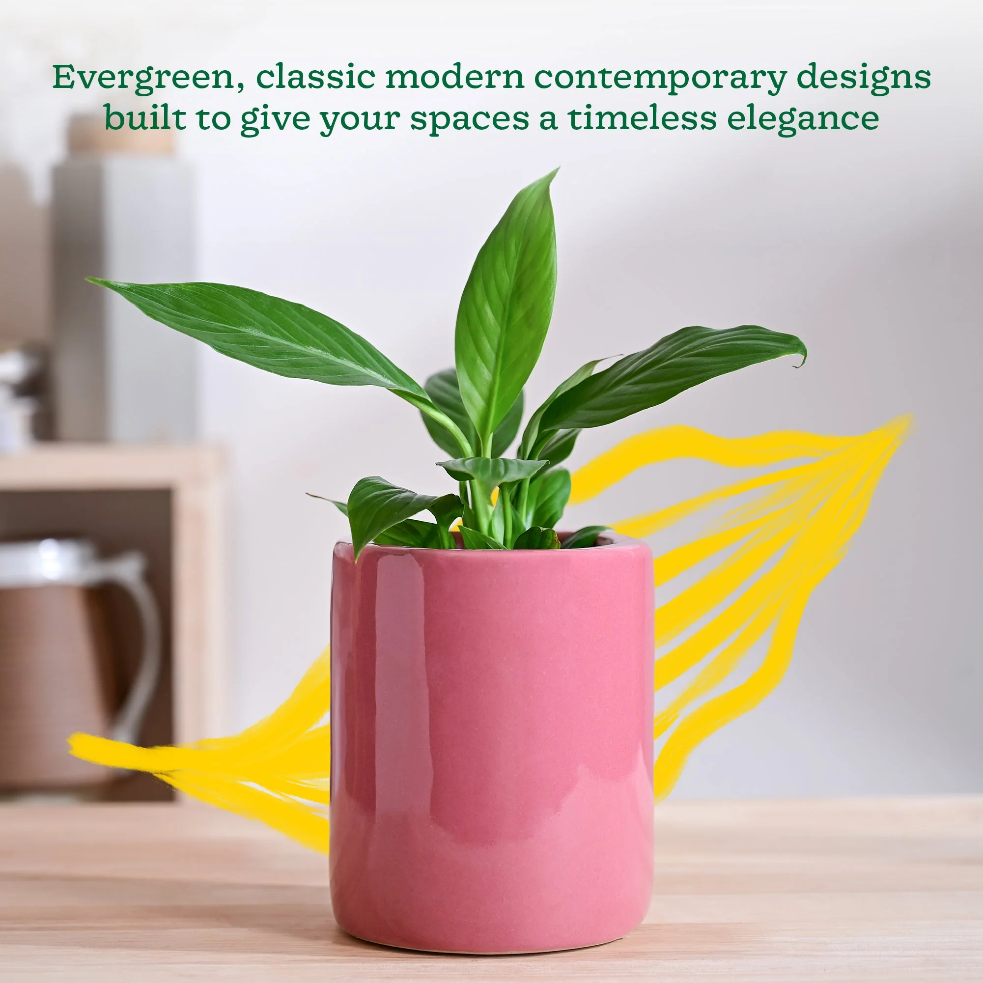 Lilac Stories Extra small Ceramic Planter - Image 34