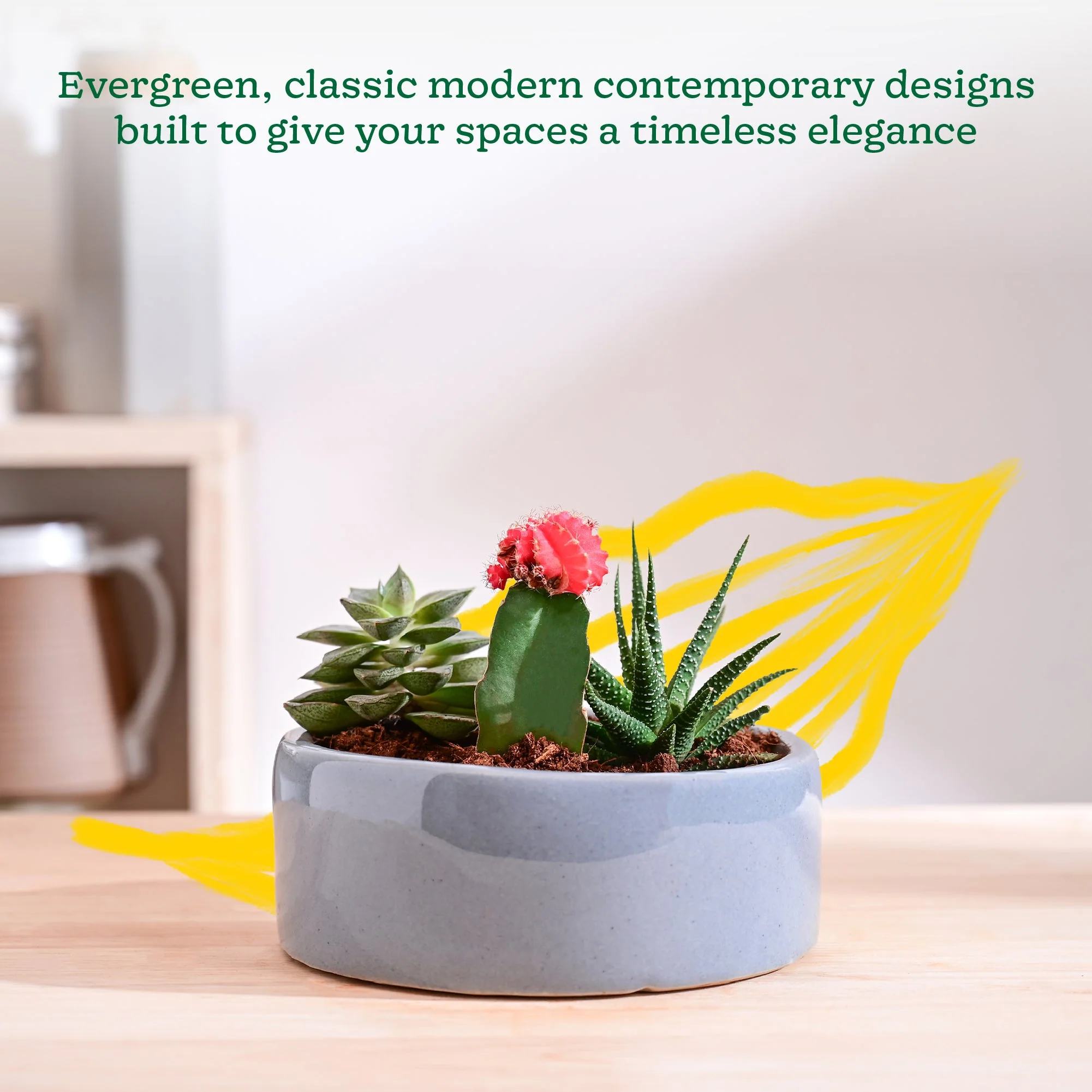 Lilac Stories Flat Ceramic Planter - Image 10