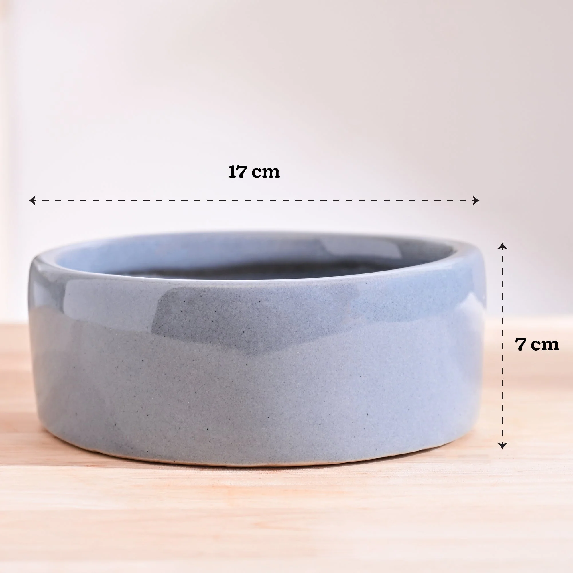 Lilac Stories Flat Ceramic Planter - Image 16